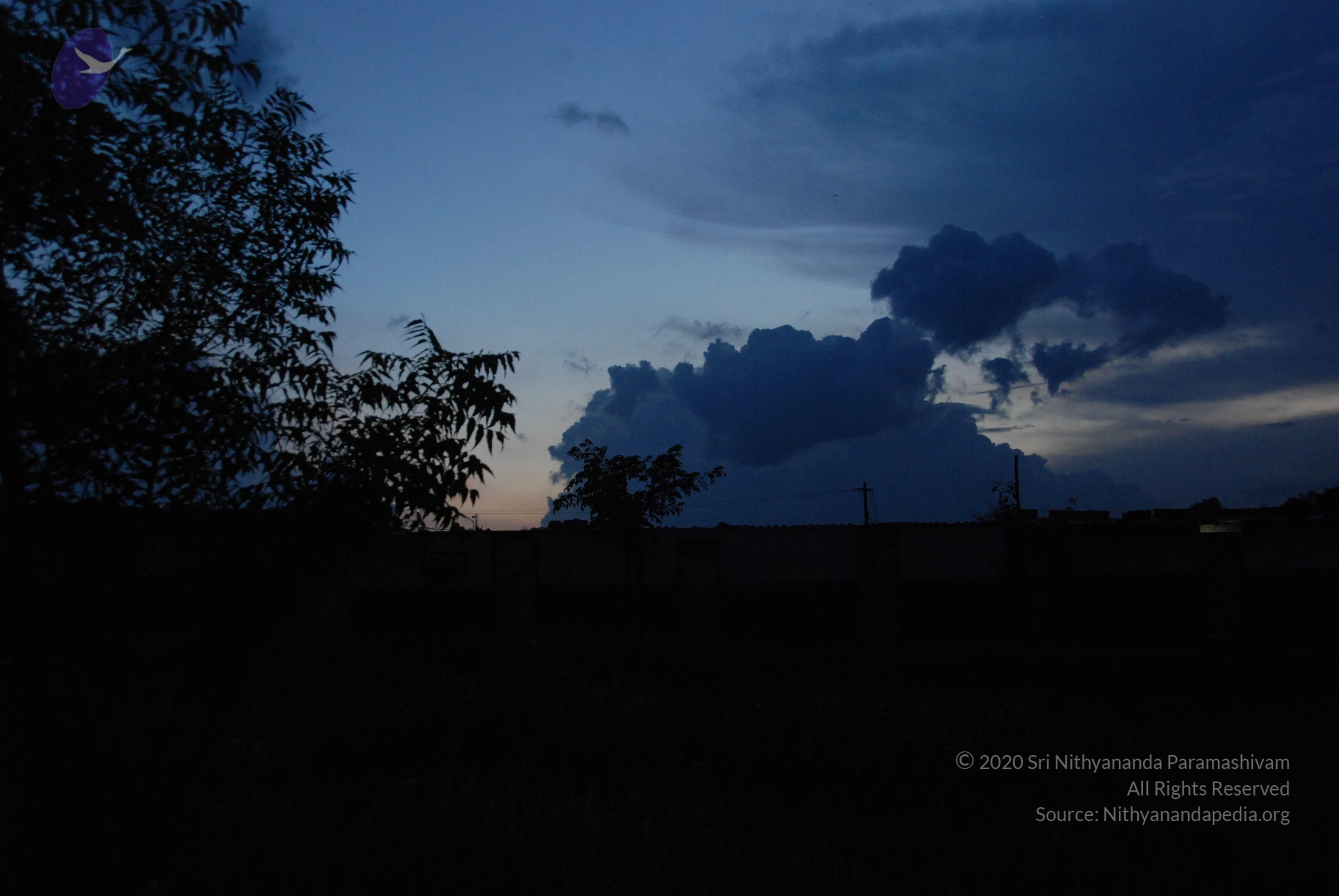 20100710_Photo_1012_DSC_7954_CMP_WM