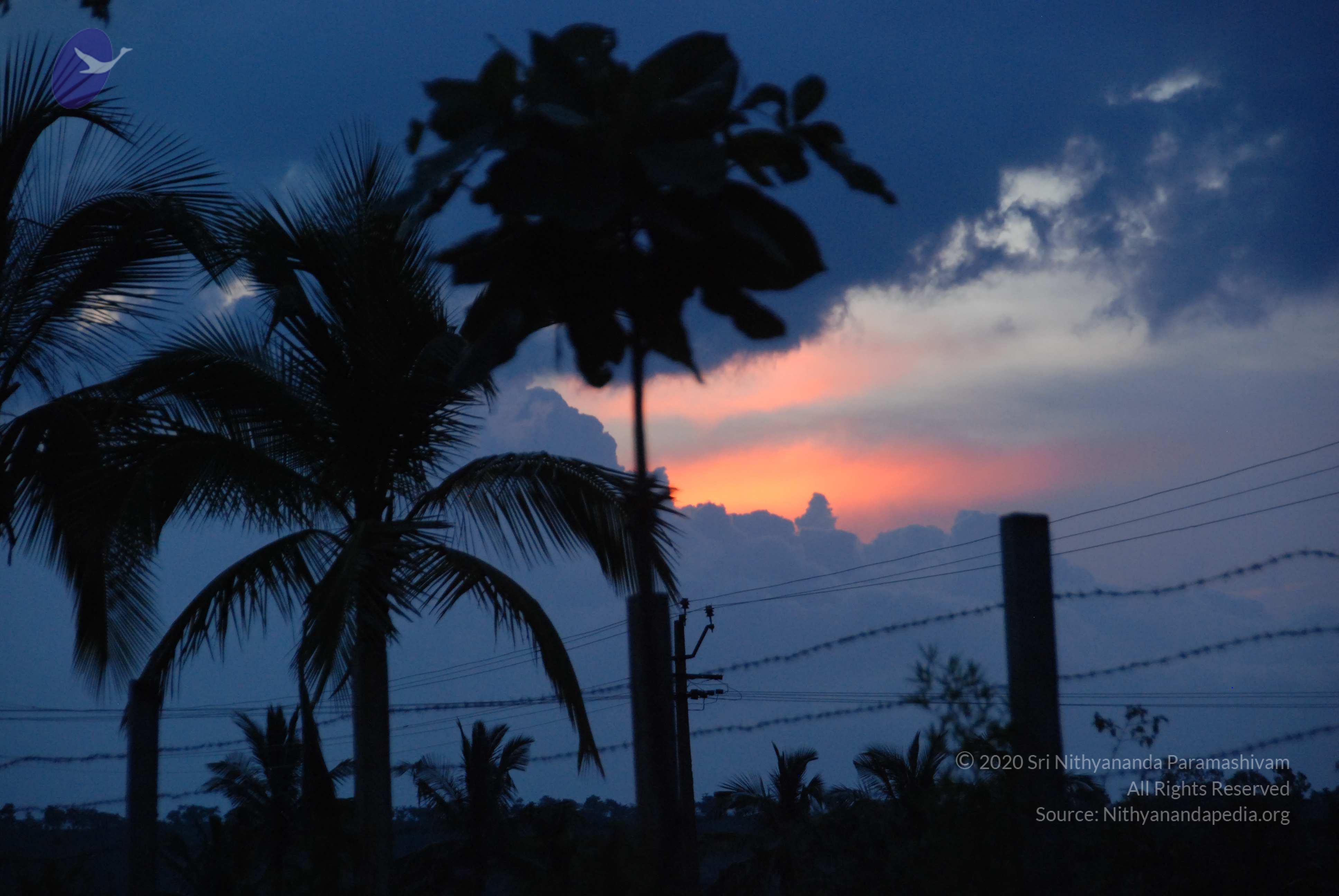 20100710_Photo_1013_DSC_7948_CMP_WM