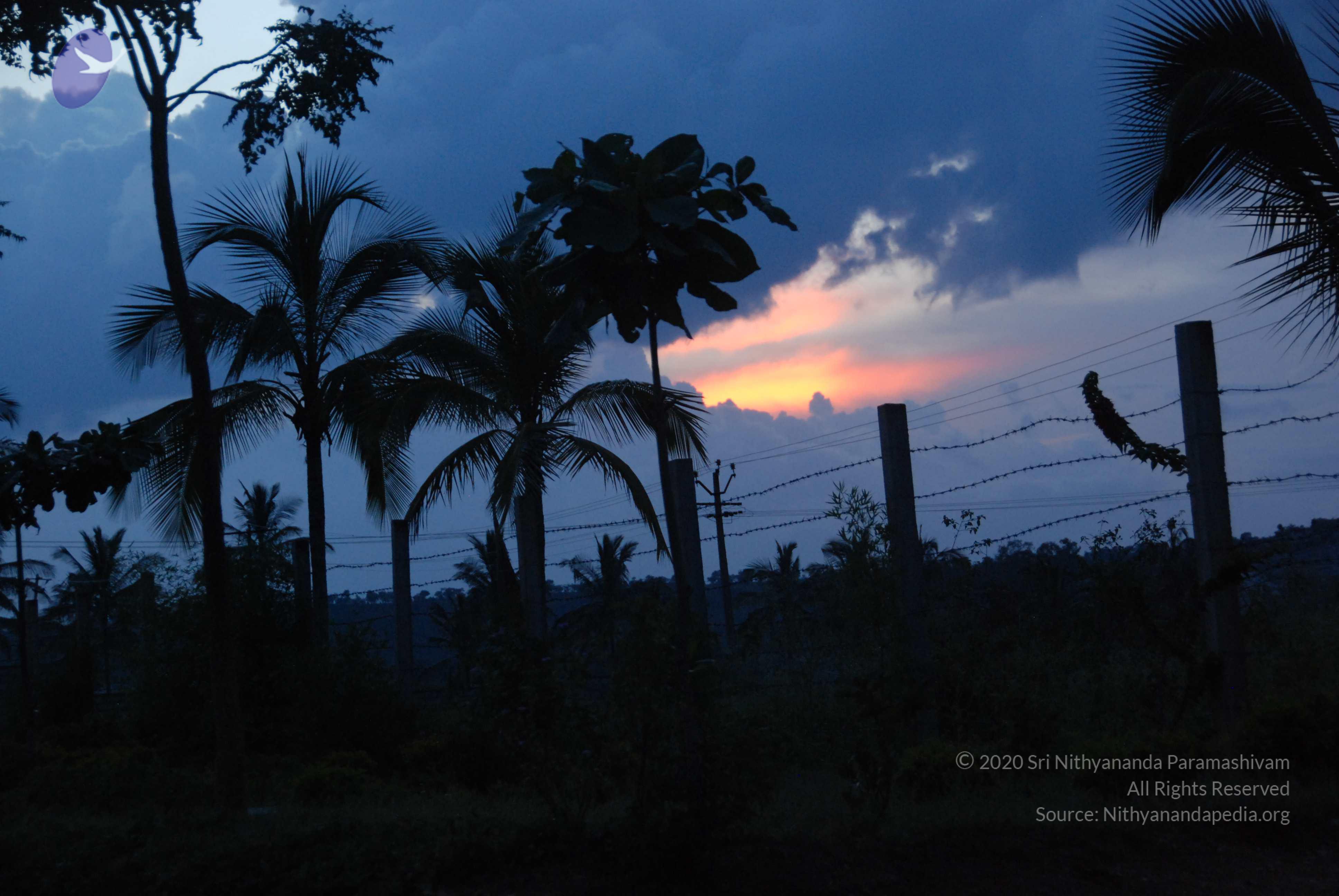 20100710_Photo_1014_DSC_7945_CMP_WM