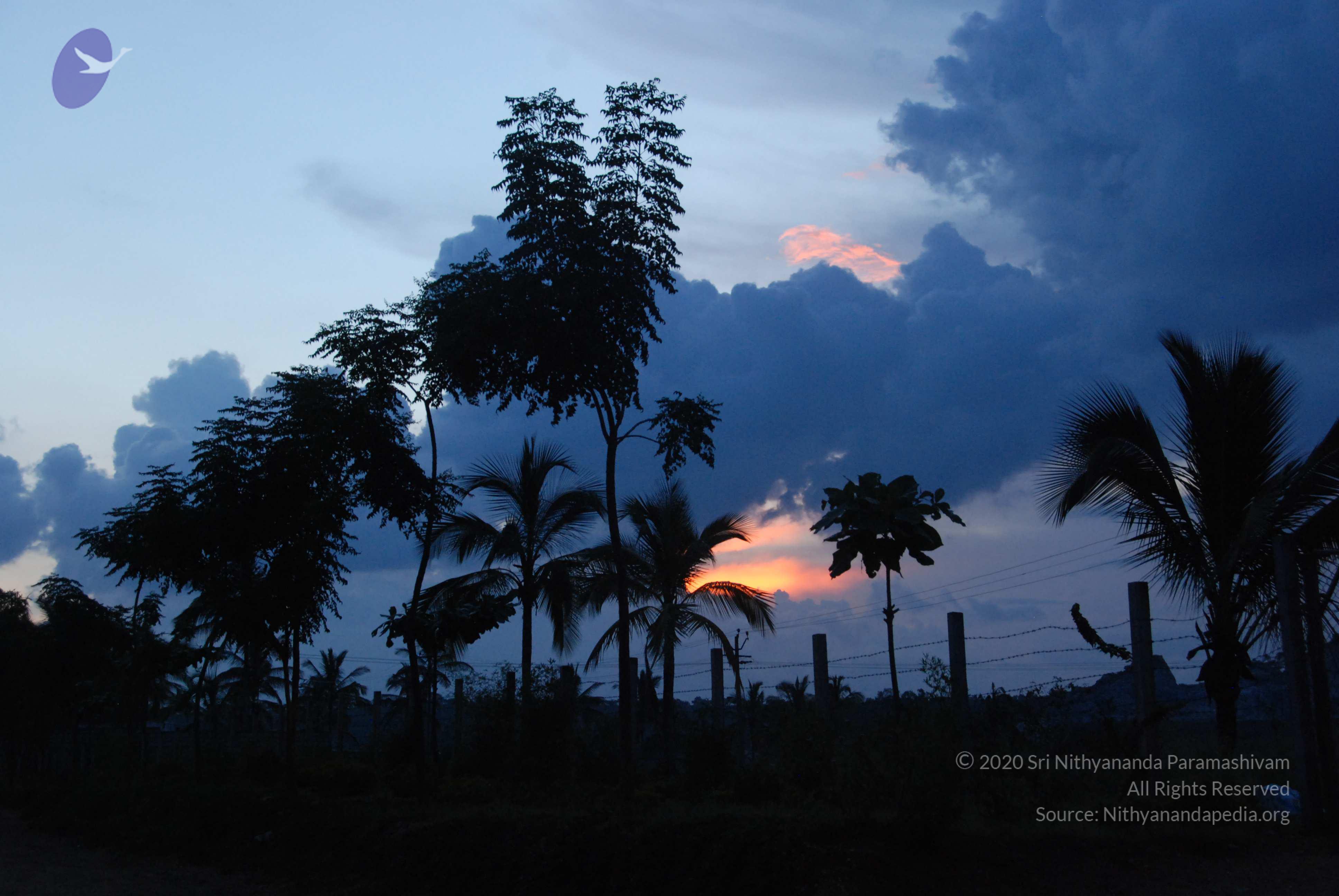 20100710_Photo_1015_DSC_7942_CMP_WM