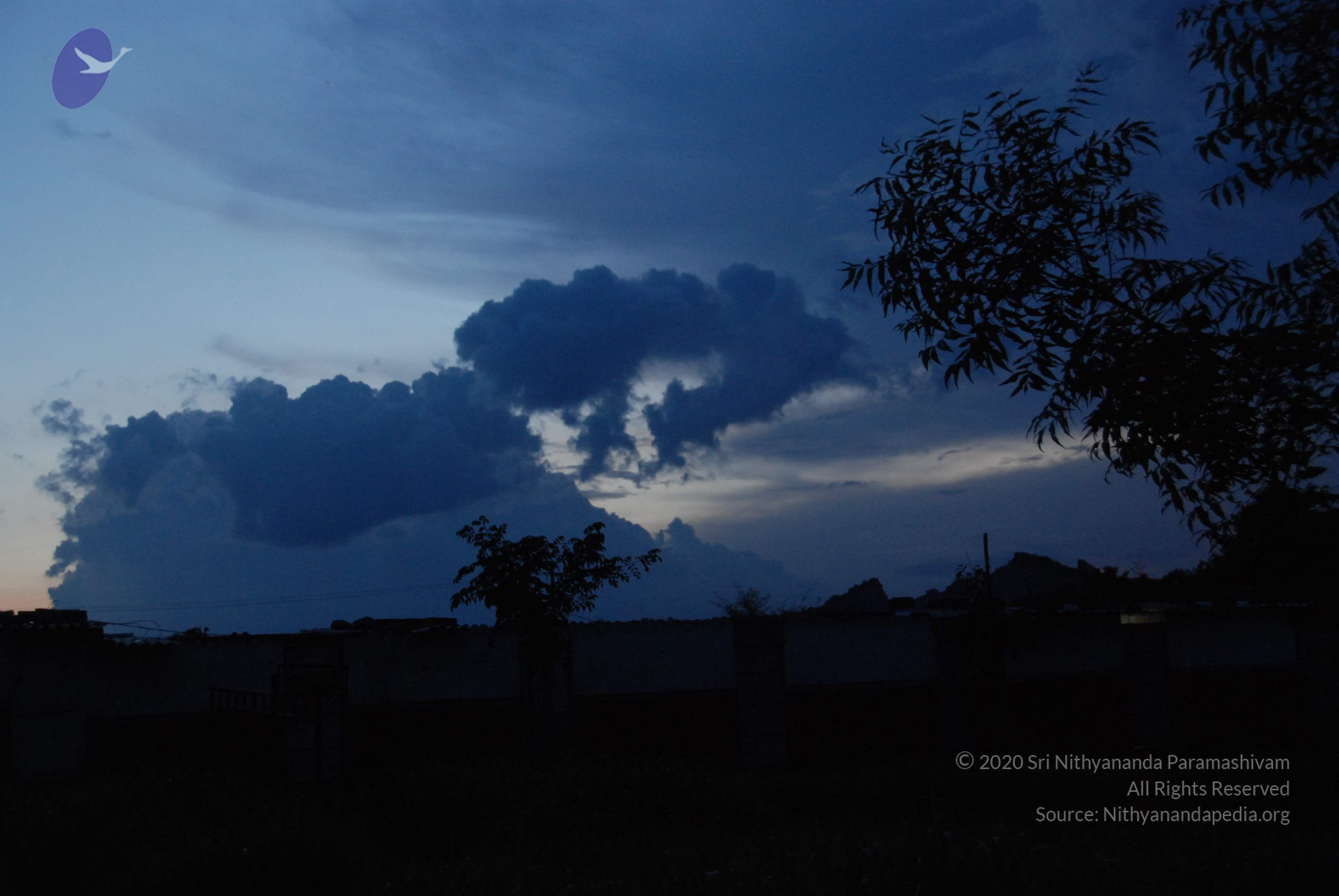 20100710_Photo_1016_DSC_7953_CMP_WM