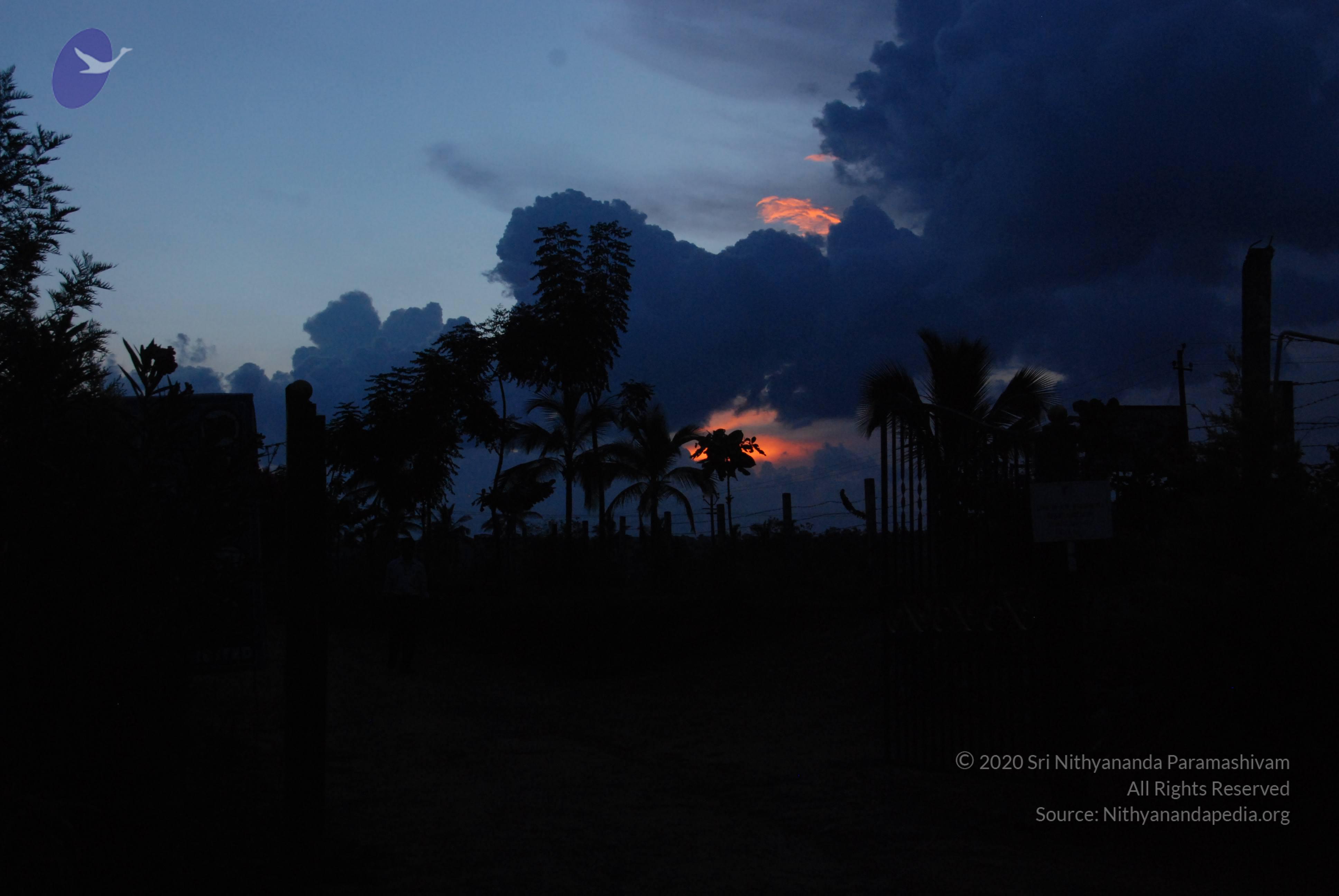 20100710_Photo_1018_DSC_7939_CMP_WM