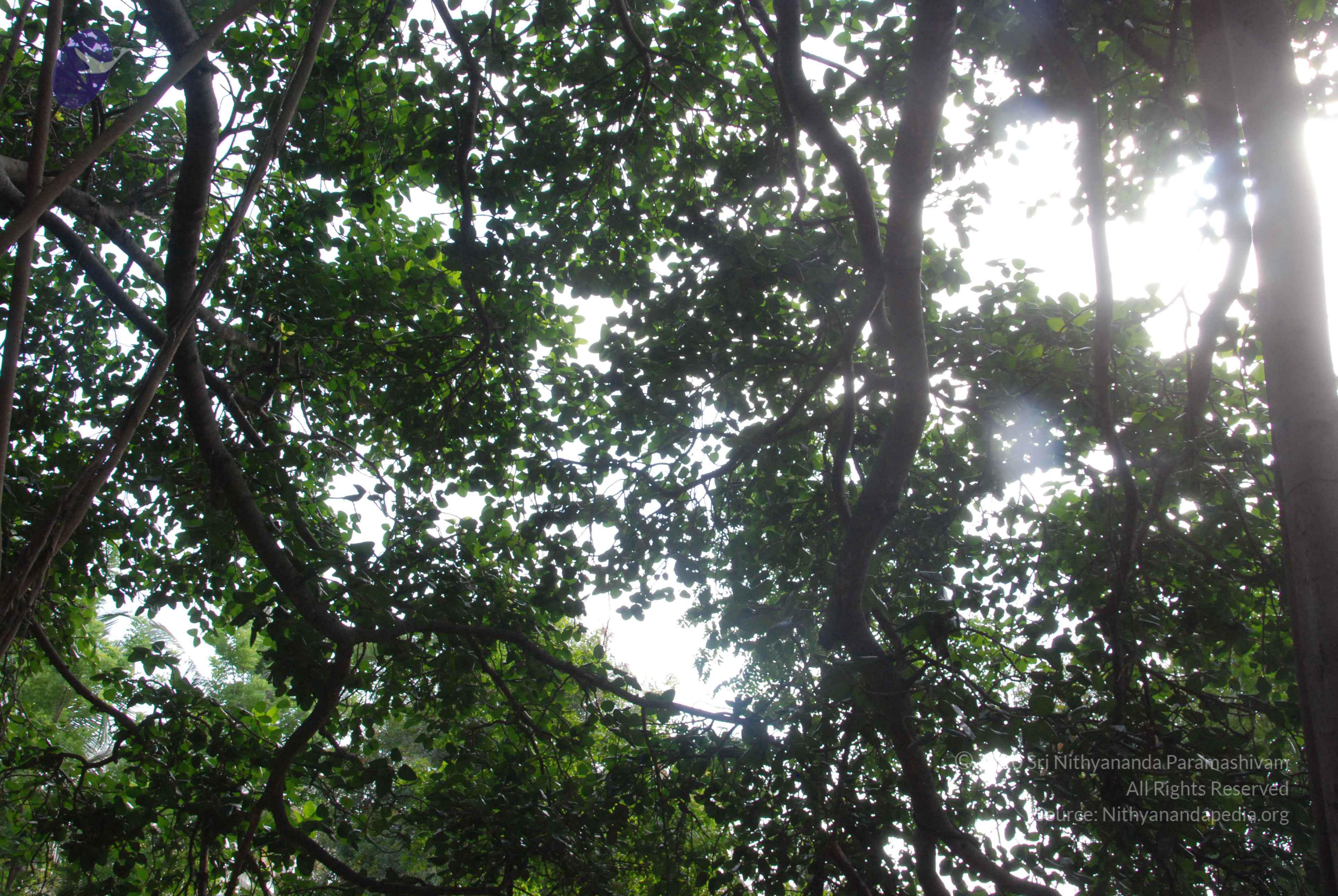 20100710_Photo_1006_DSC_7821_CMP_WM