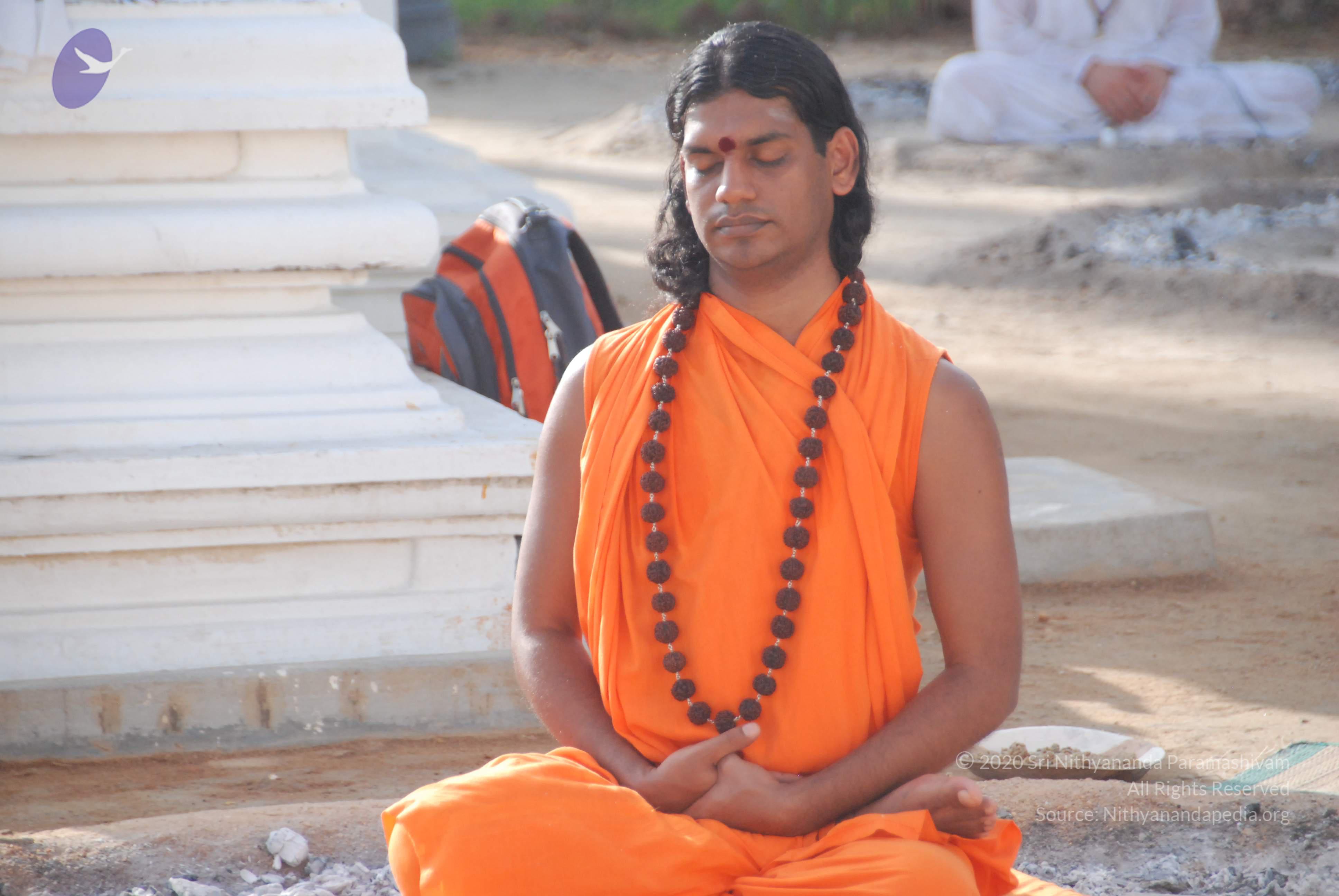 20100710_Photo_1010_DSC_7701_CMP_WM