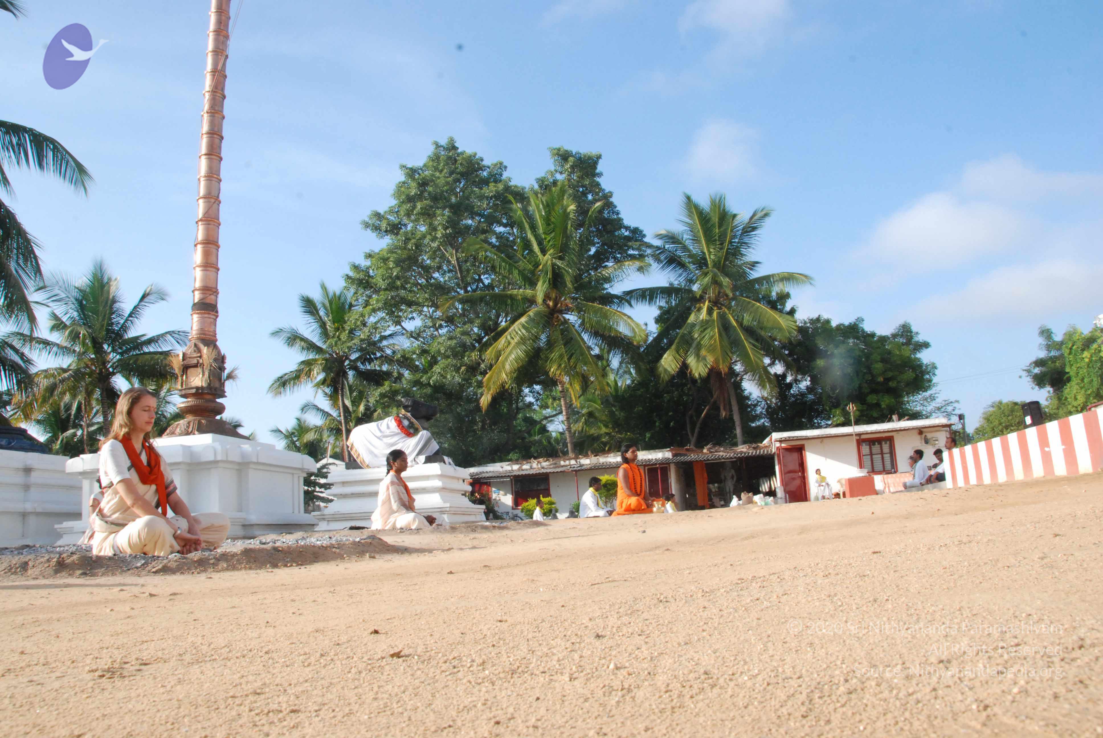 20100710_Photo_1037_DSC_7663_CMP_WM