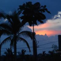 20100710_Photo_1013_DSC_7948_CMP_WM