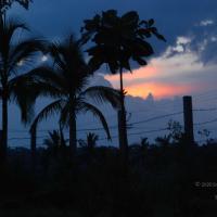 20100710_Photo_1017_DSC_7947_CMP_WM