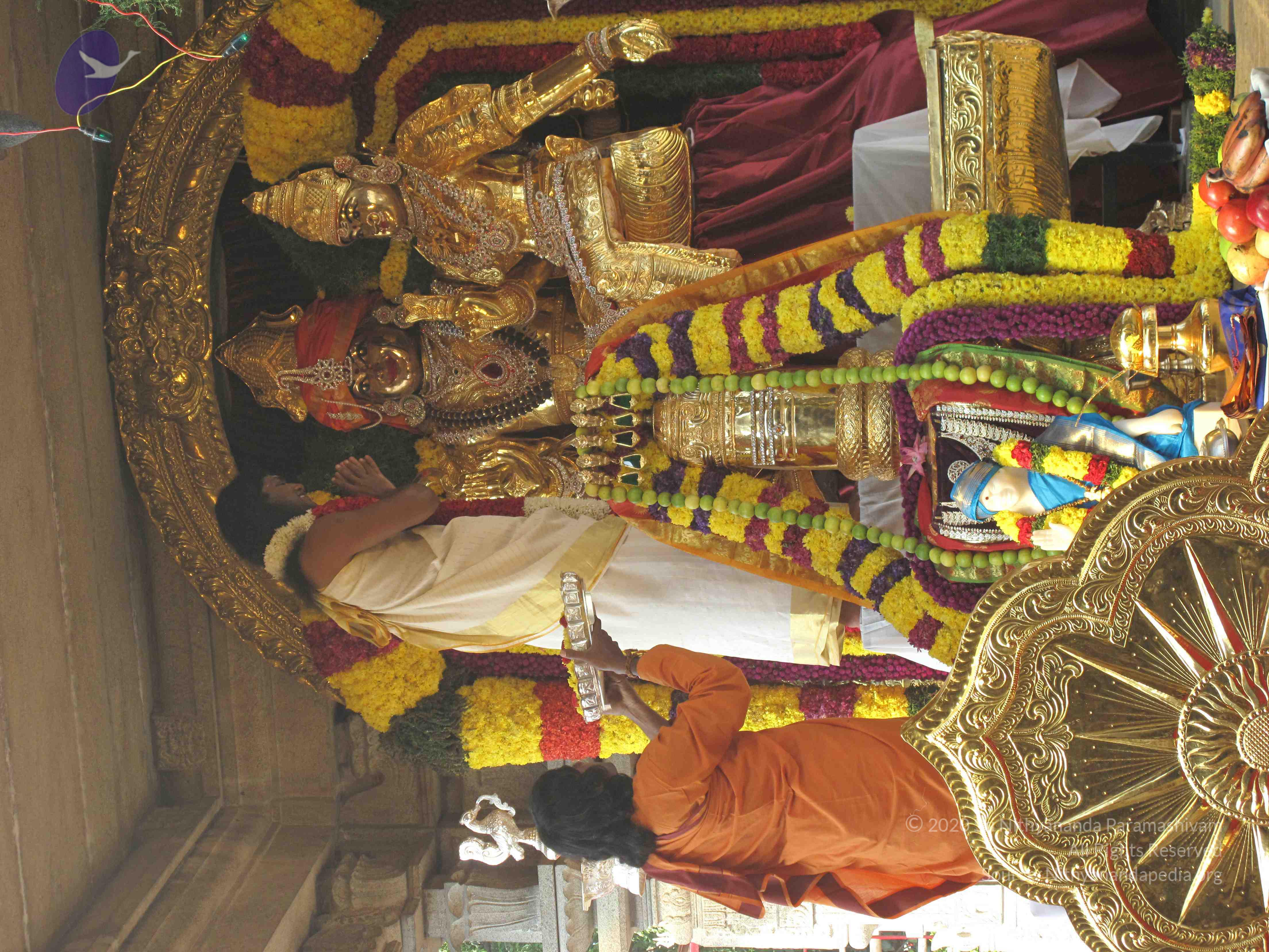 20100101_Photo_1009_IMG_1501_CMP_WM