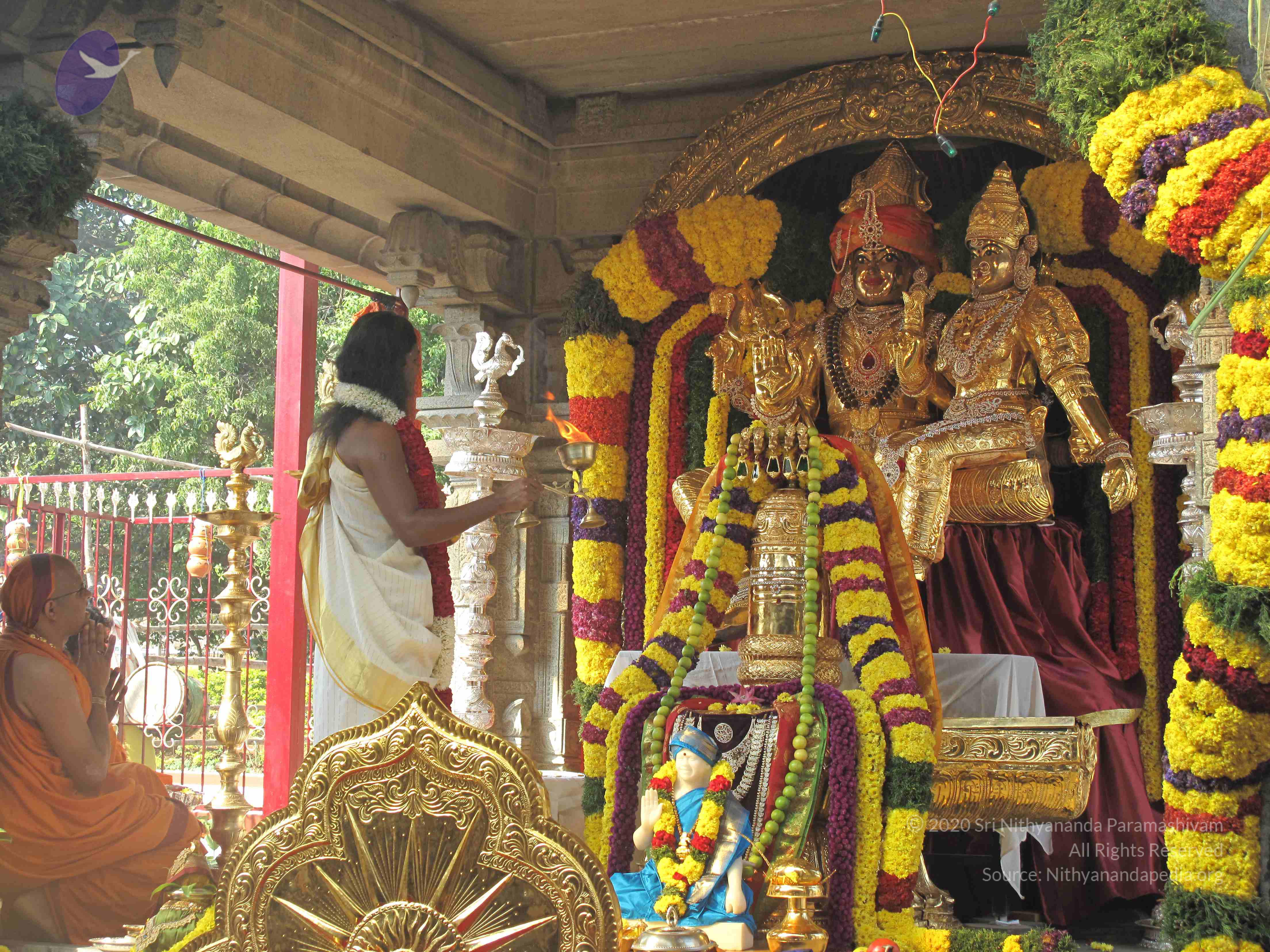 20100101_Photo_1011_IMG_1510_CMP_WM