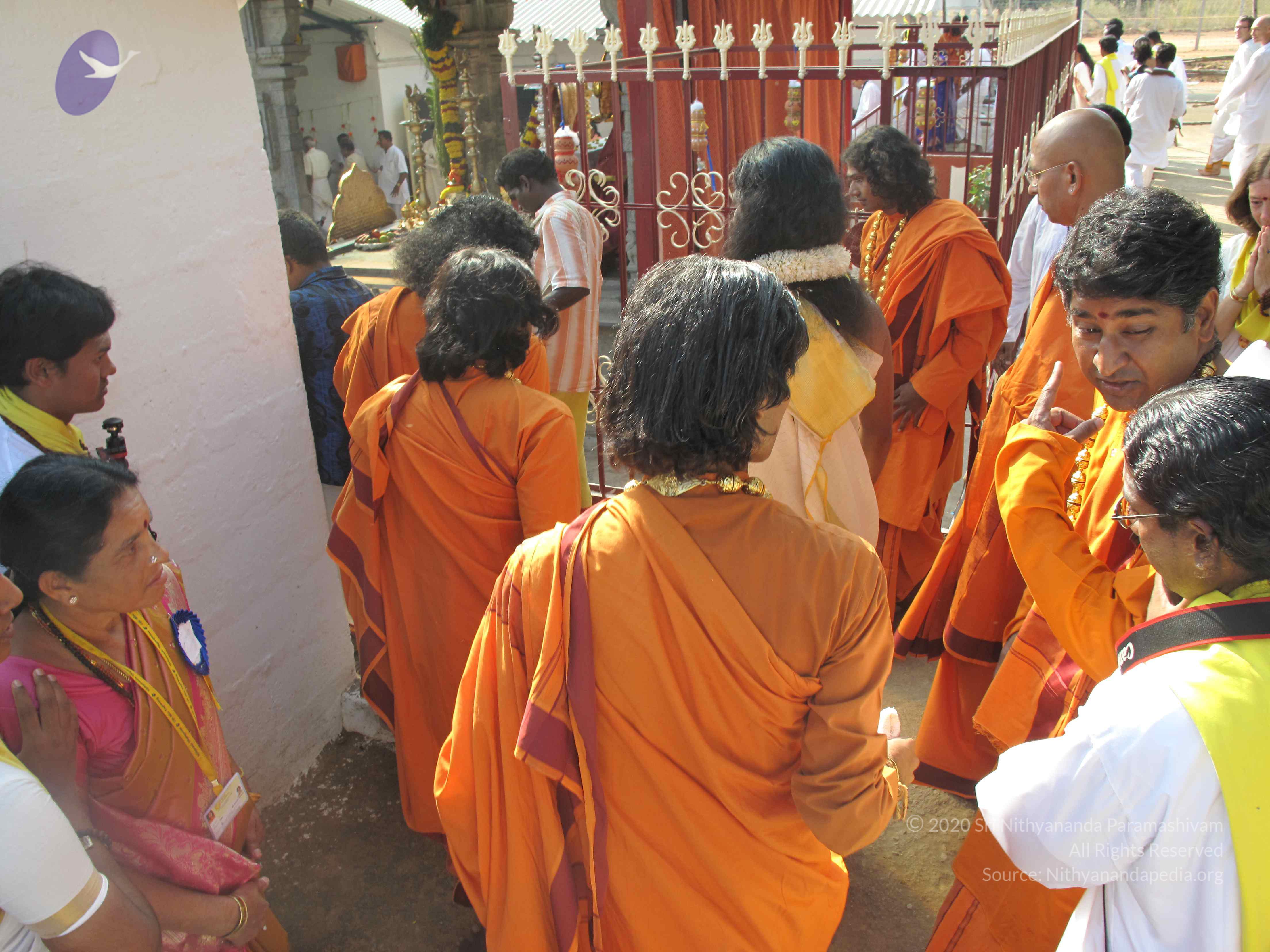 20100101_Photo_1032_IMG_1526_CMP_WM