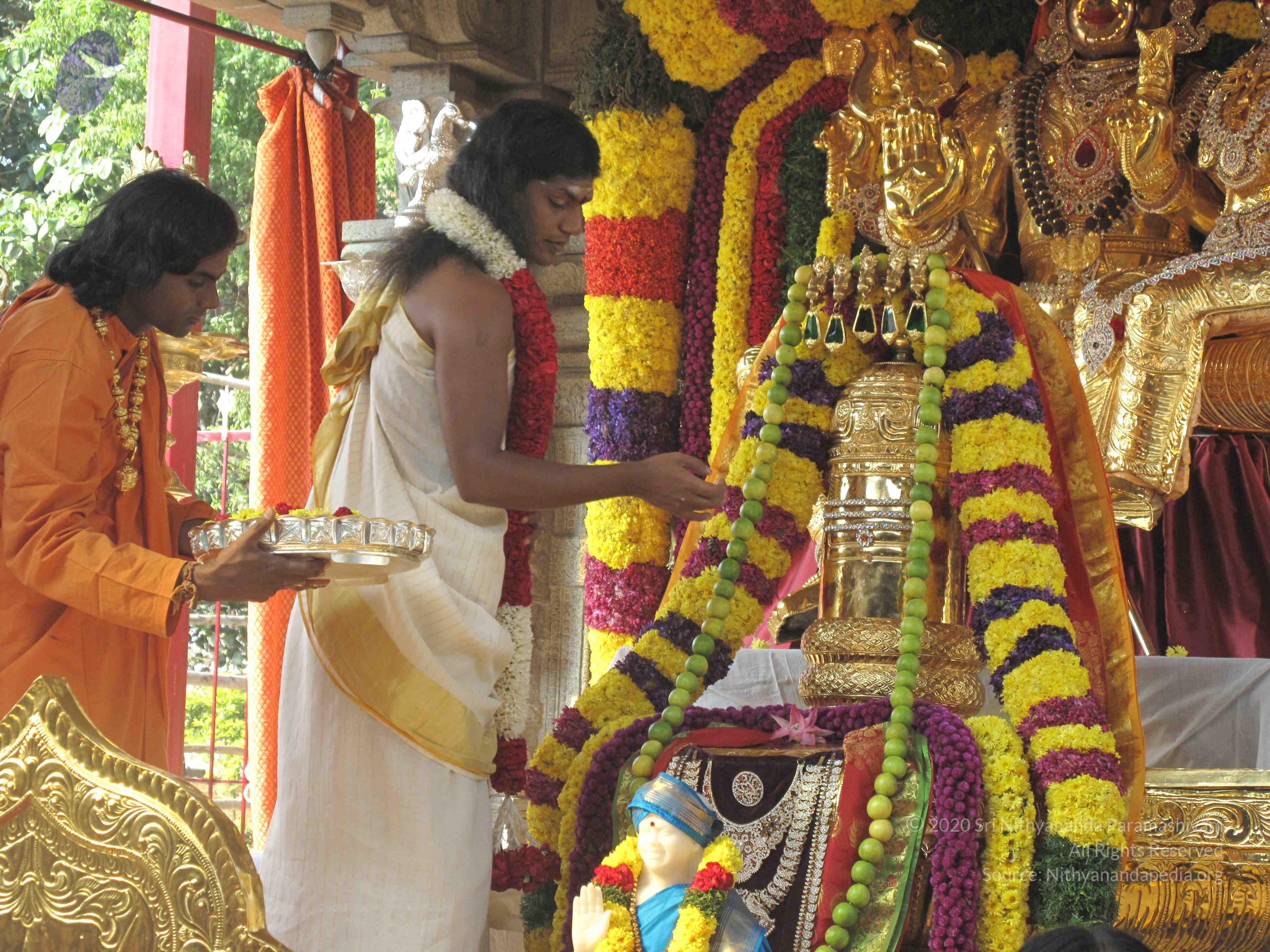 20100101_Photo_1044_IMG_1502_CMP_WM