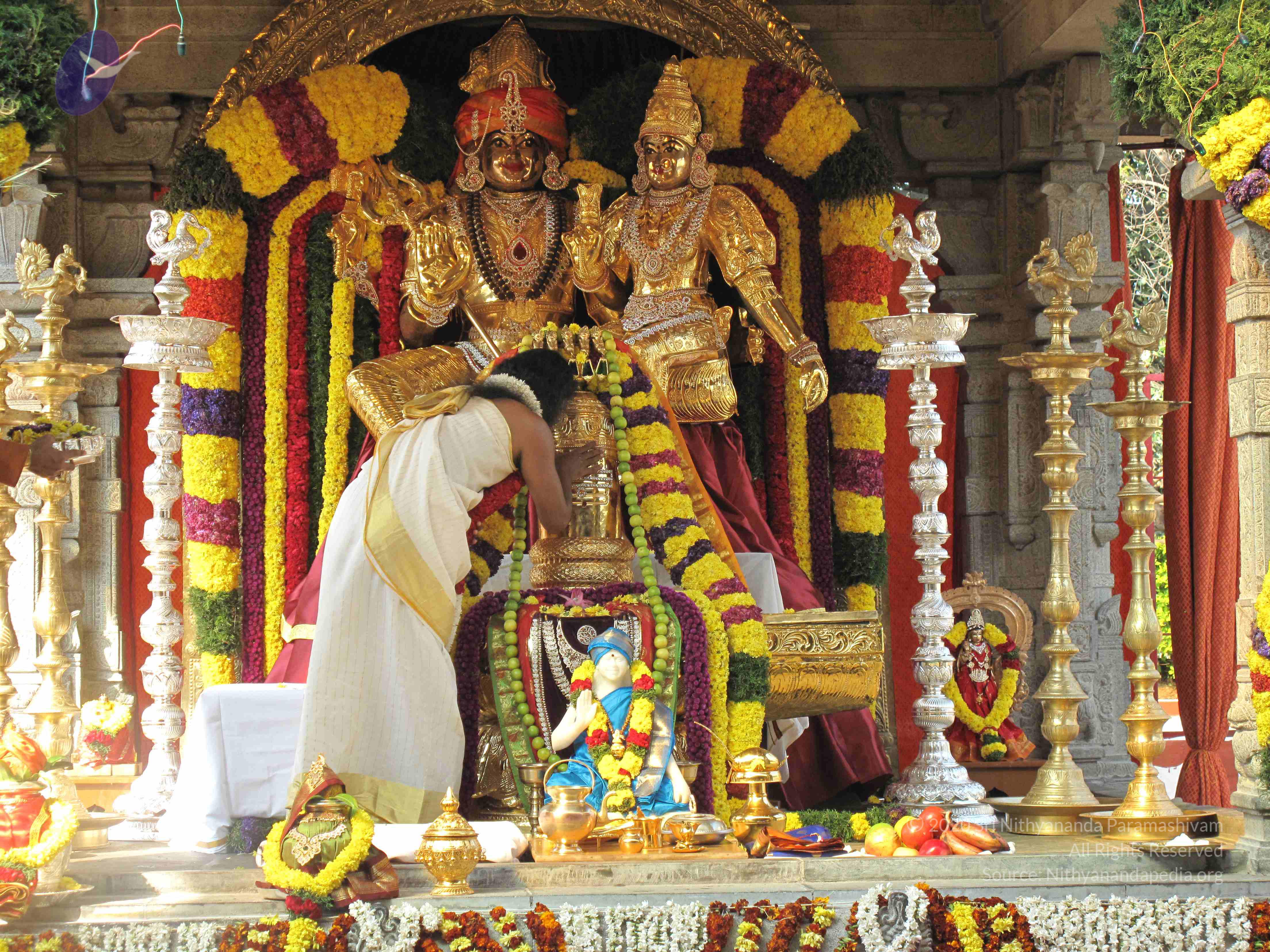 20100101_Photo_1047_IMG_1538_CMP_WM