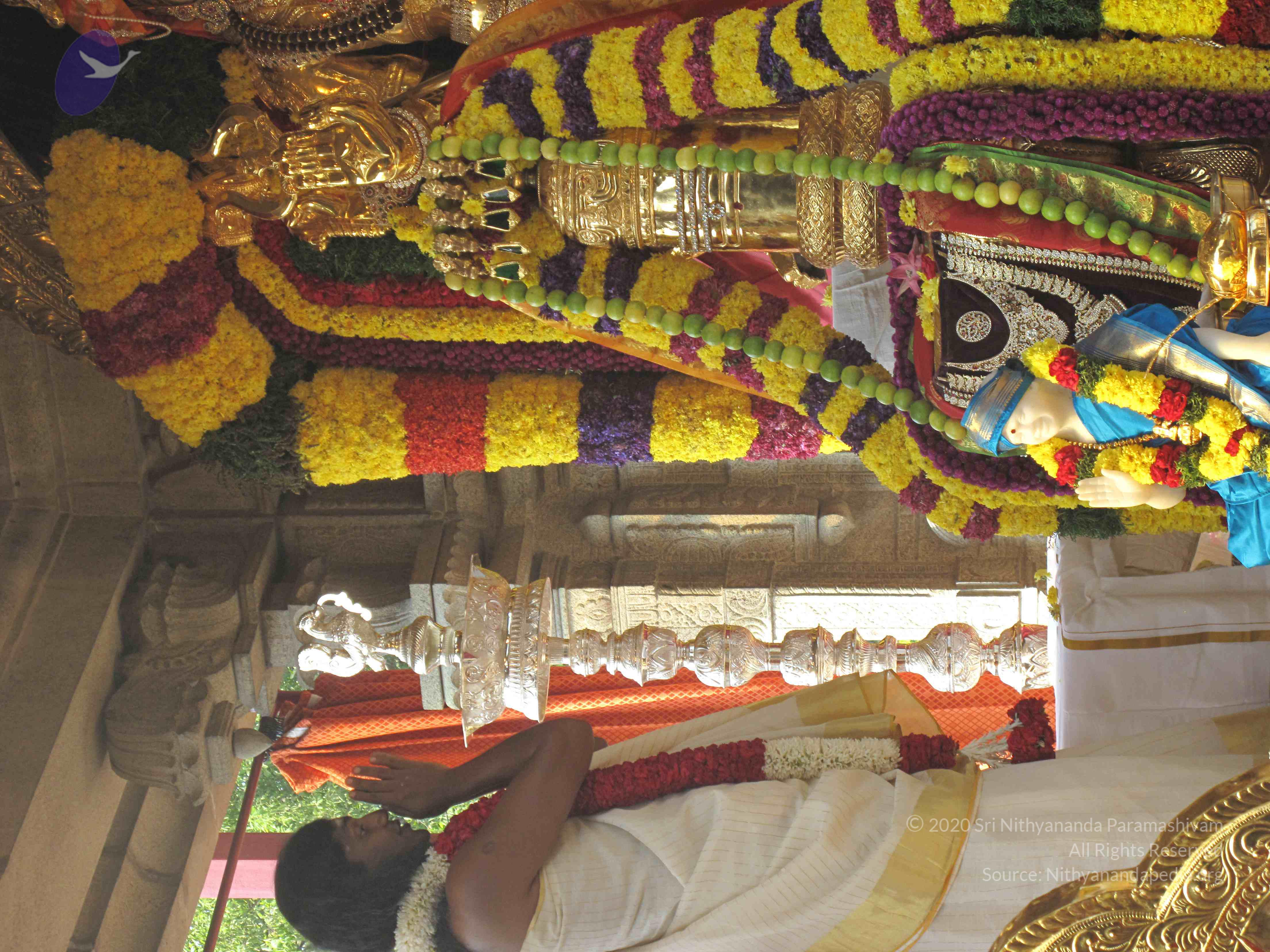 20100101_Photo_1048_IMG_1513_CMP_WM