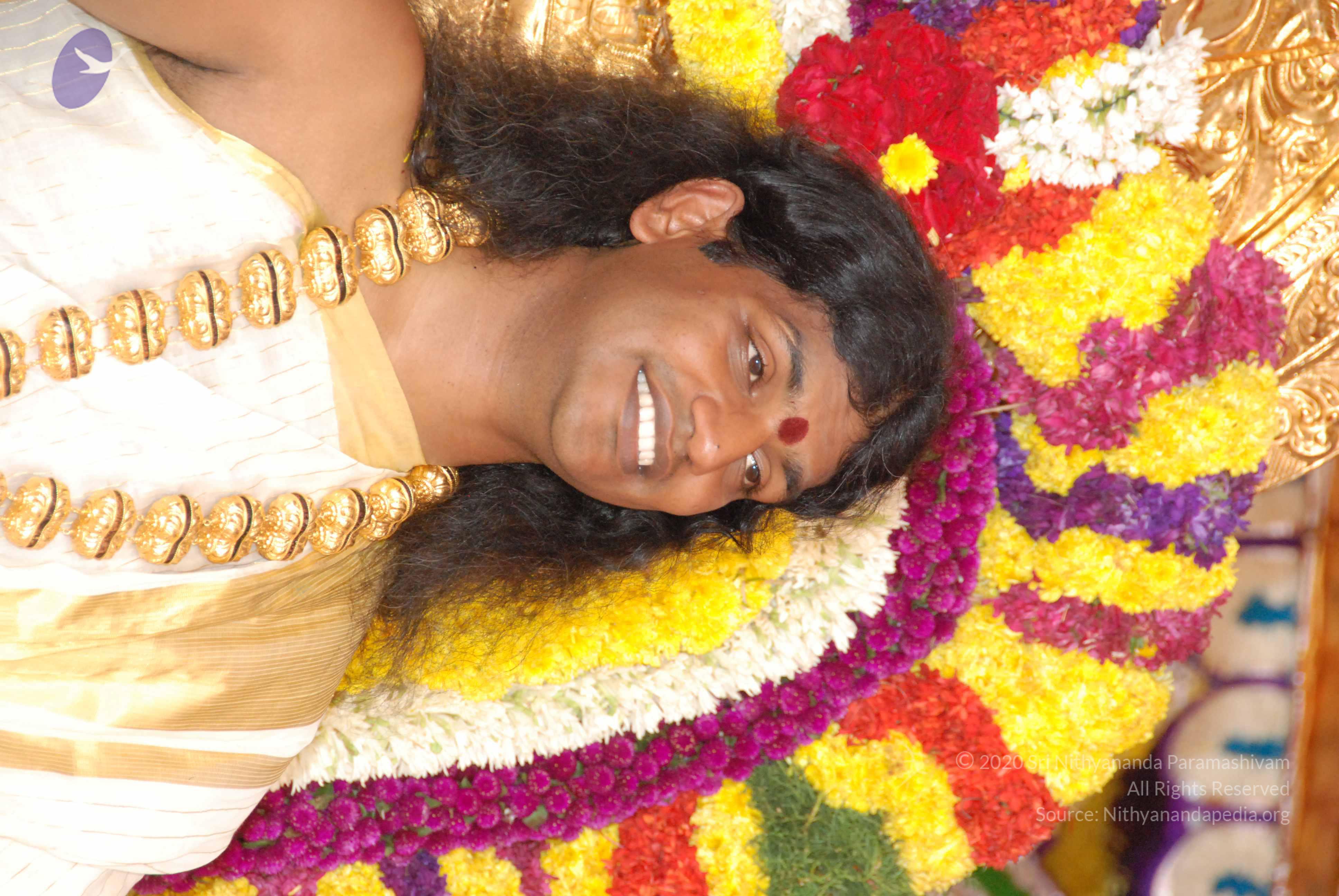 20100101_Photo_1016_DSC_2113_CMP_WM