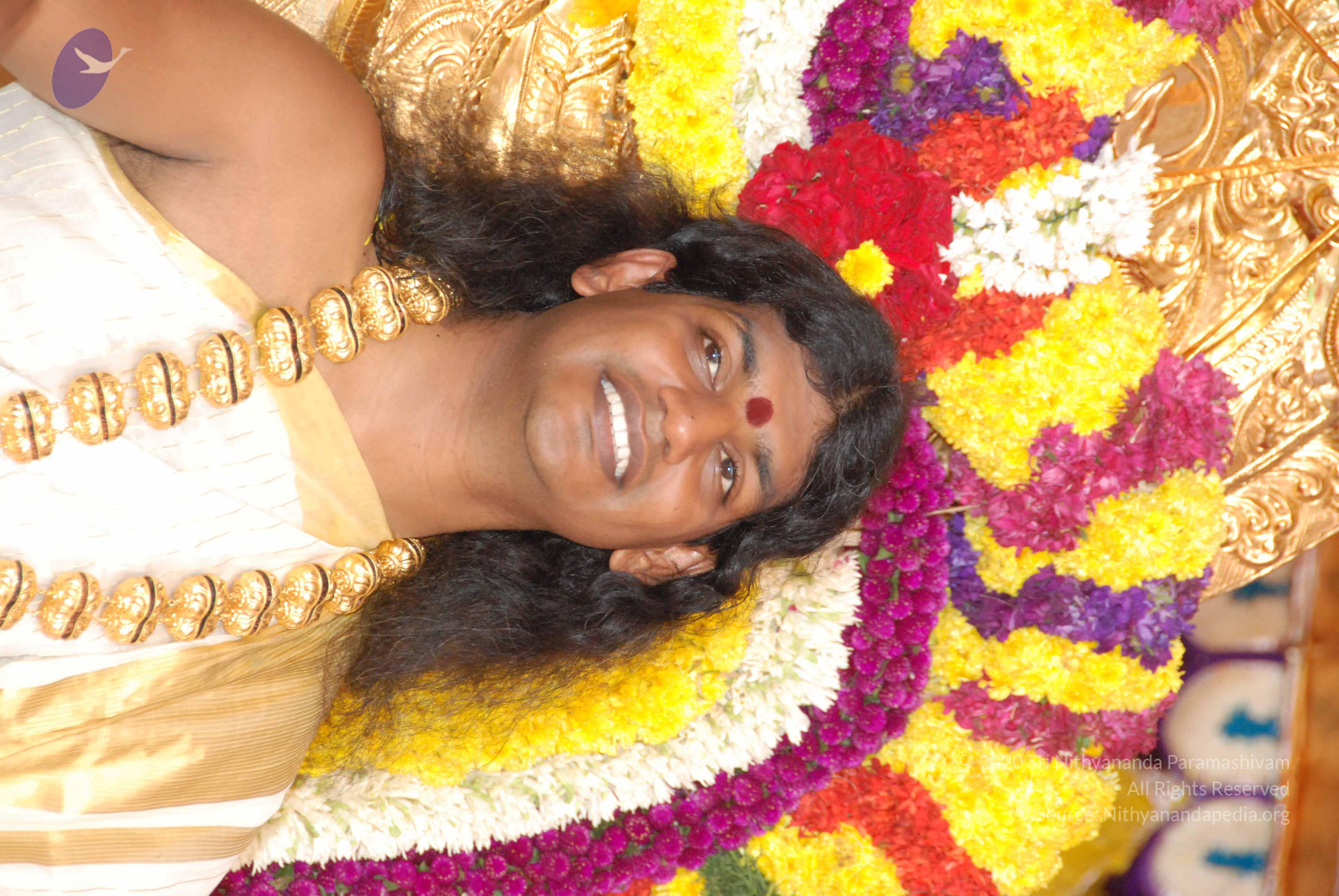 20100101_Photo_1036_DSC_2111_CMP_WM