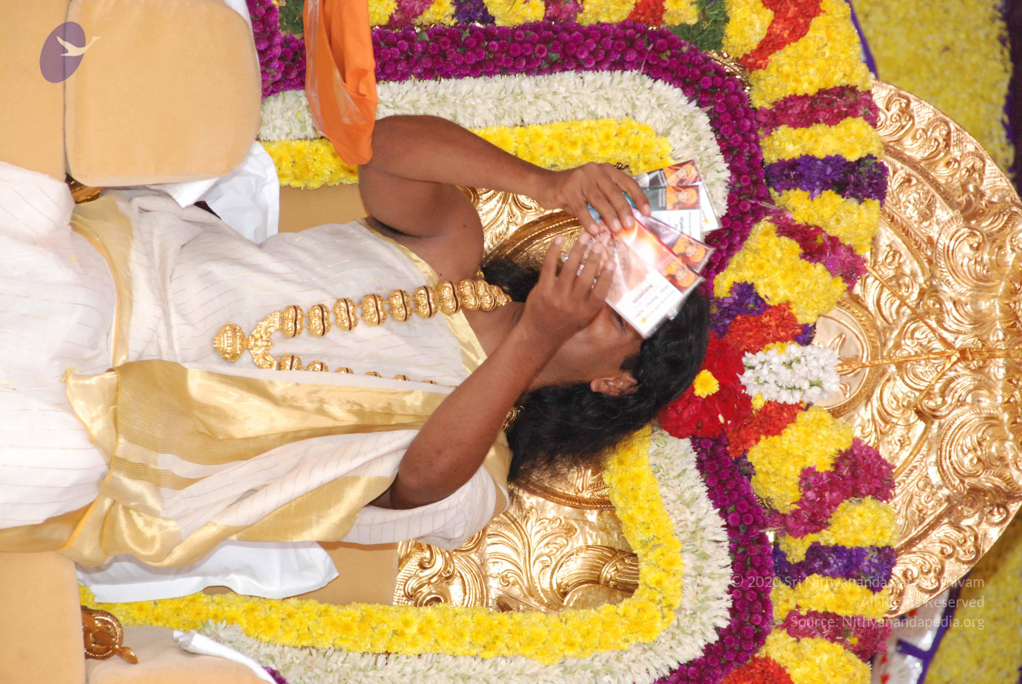 20100101_Photo_1047_DSC_2076_CMP_WM