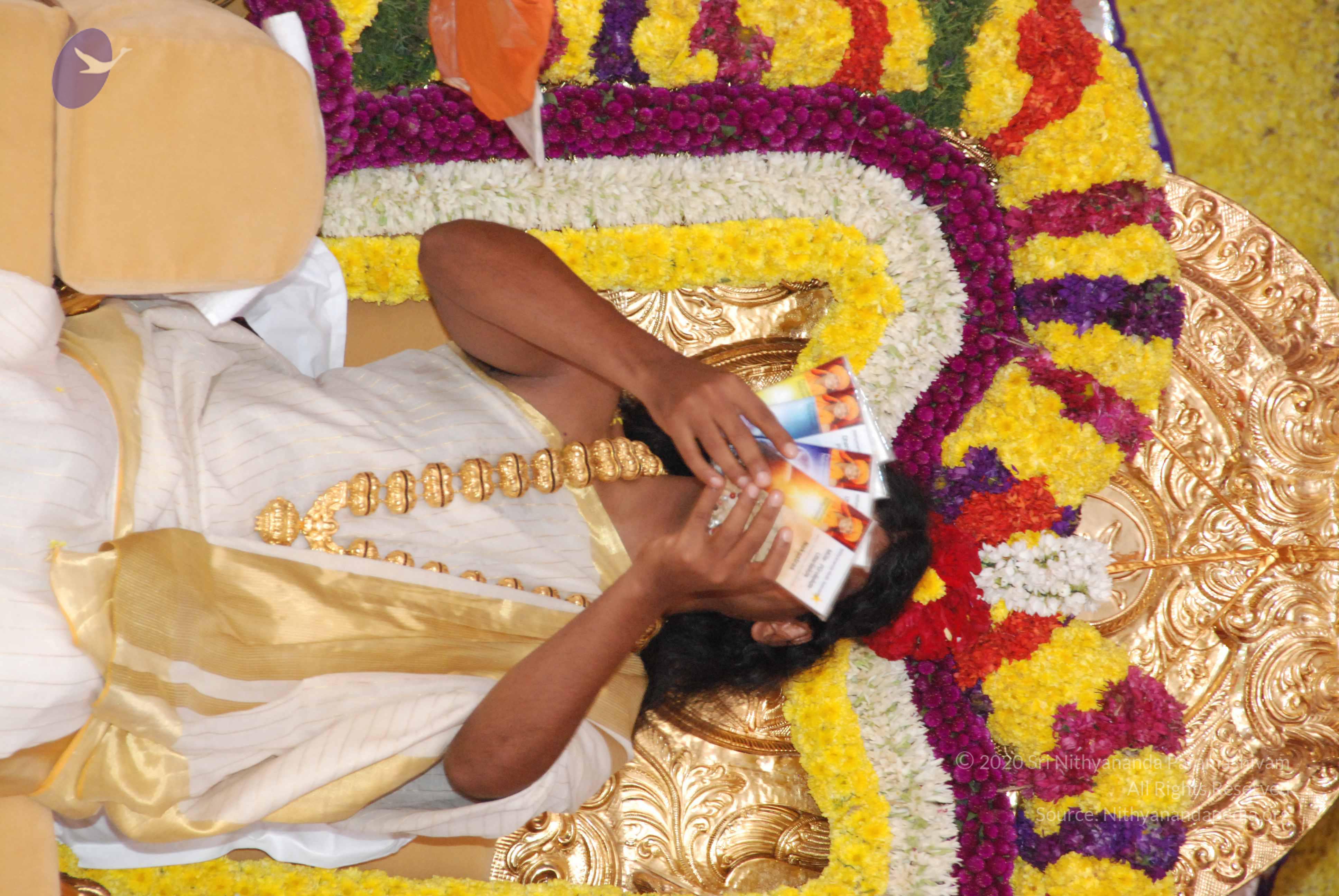 20100101_Photo_1050_DSC_2078_CMP_WM