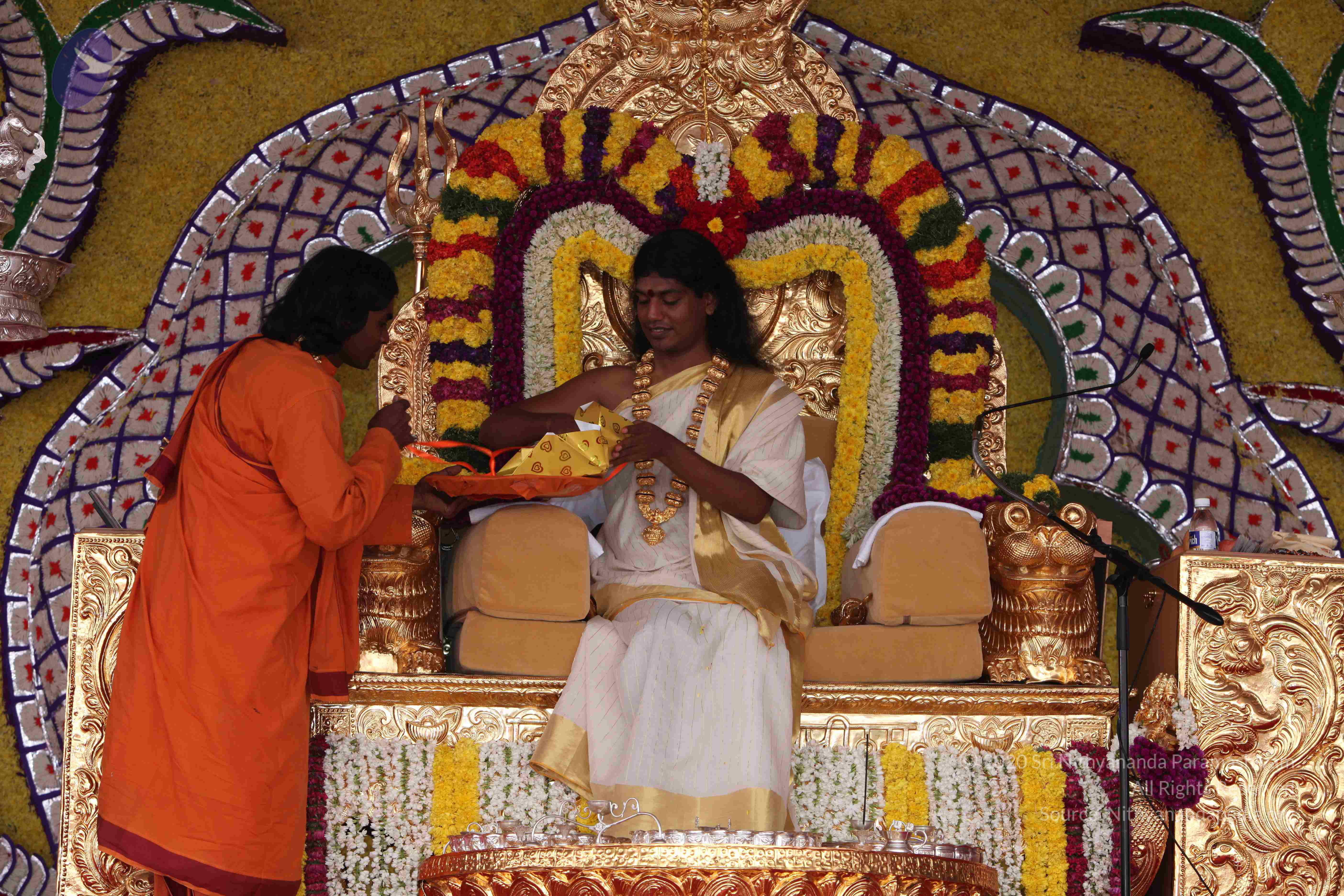 20100101_Photo_1056_IMG_4894_CMP_WM