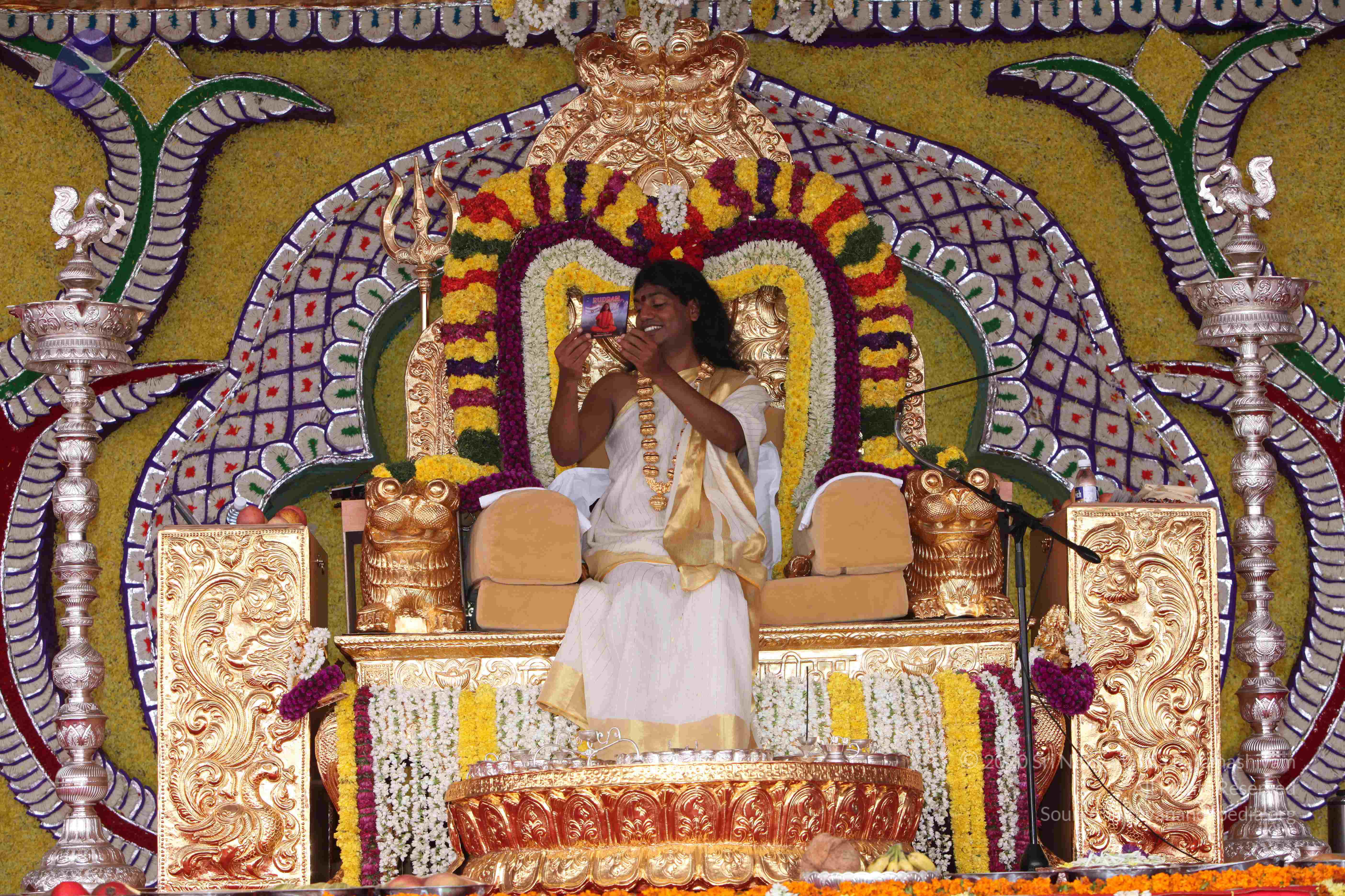 20100101_Photo_1065_IMG_4904_CMP_WM