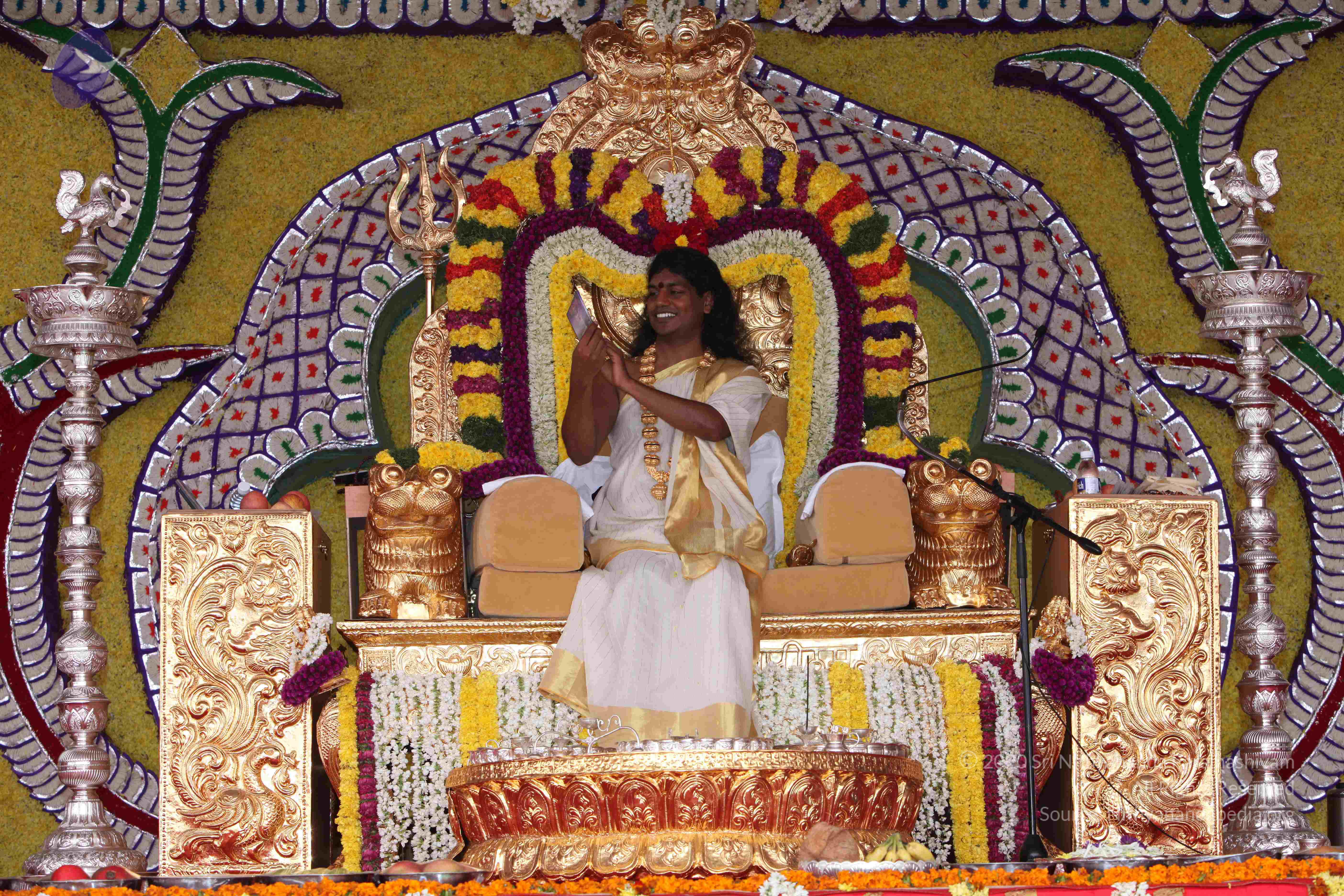 20100101_Photo_1079_IMG_4903_CMP_WM