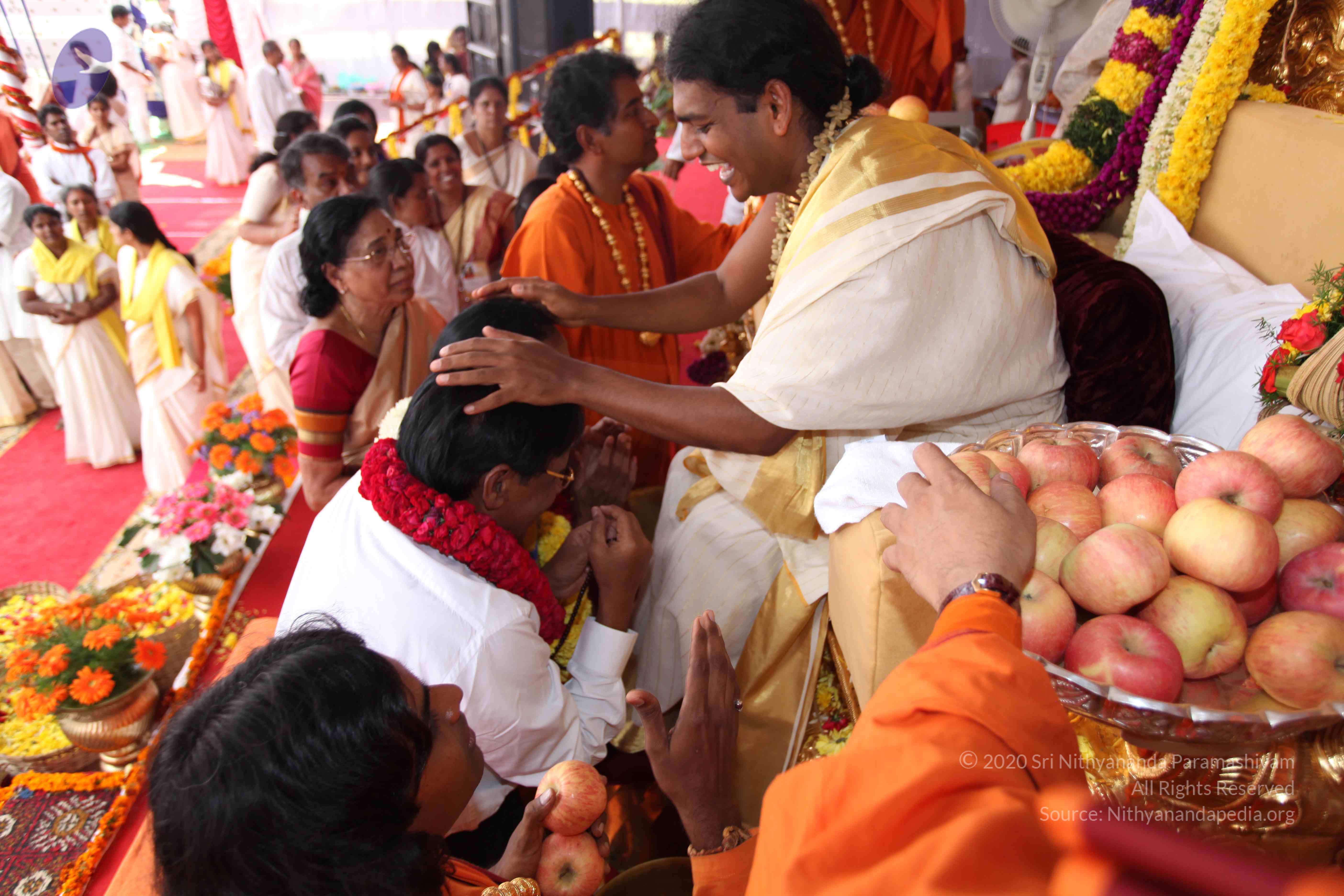 20100101_Photo_1011_IMG_5102_CMP_WM