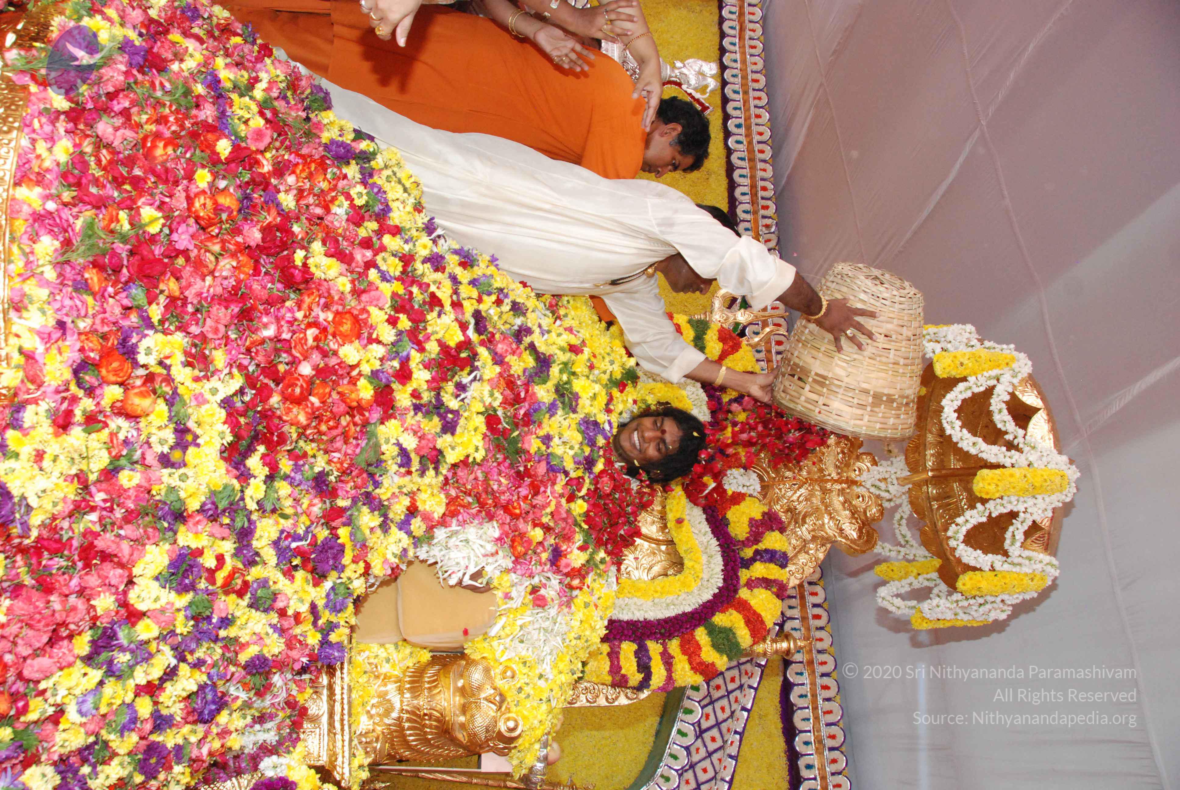 20100101_Photo_1029_DSC_2197_CMP_WM