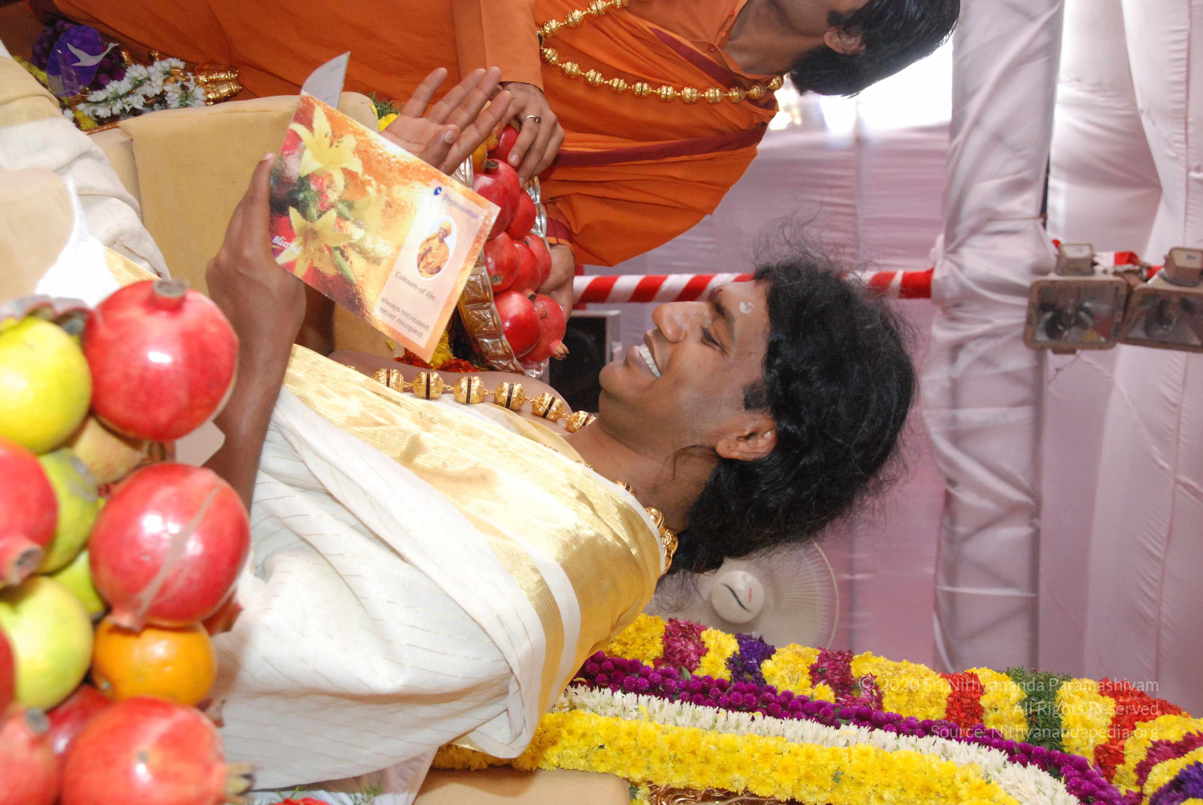 20100101_Photo_1049_DSC_2309_CMP_WM