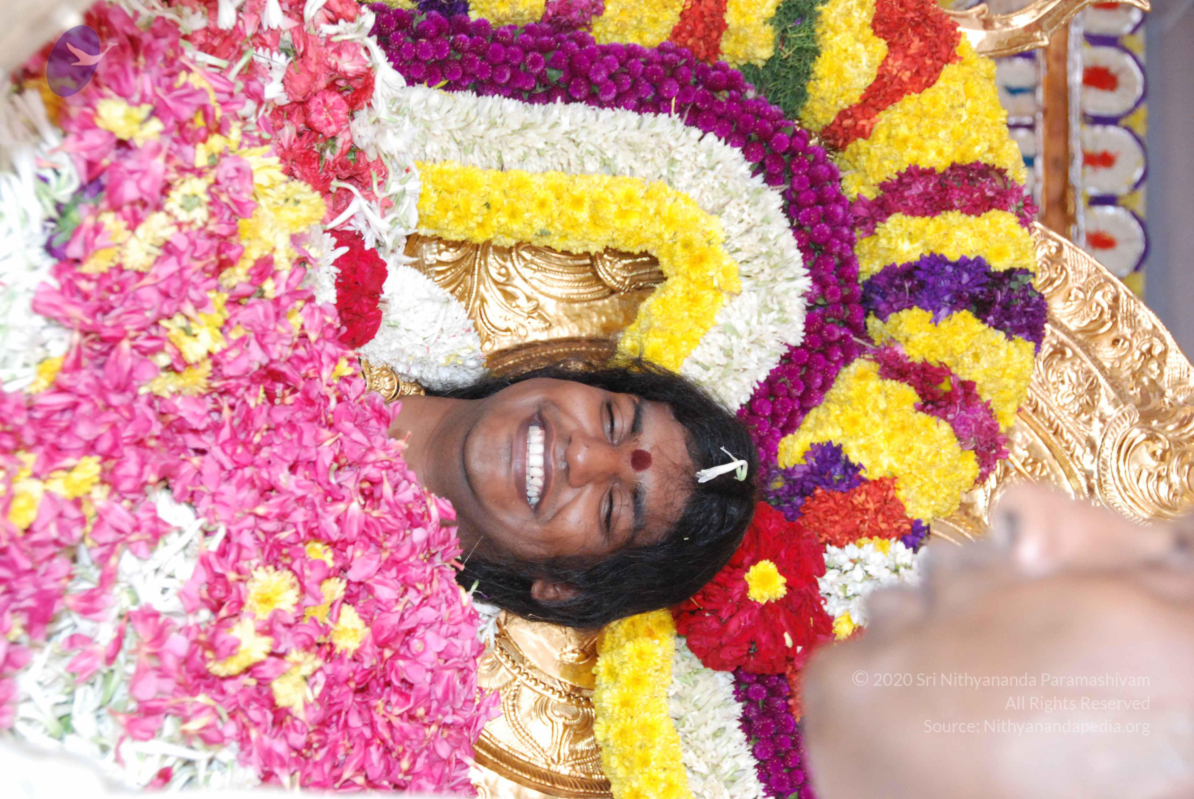 20100101_Photo_1050_DSC_2174_CMP_WM