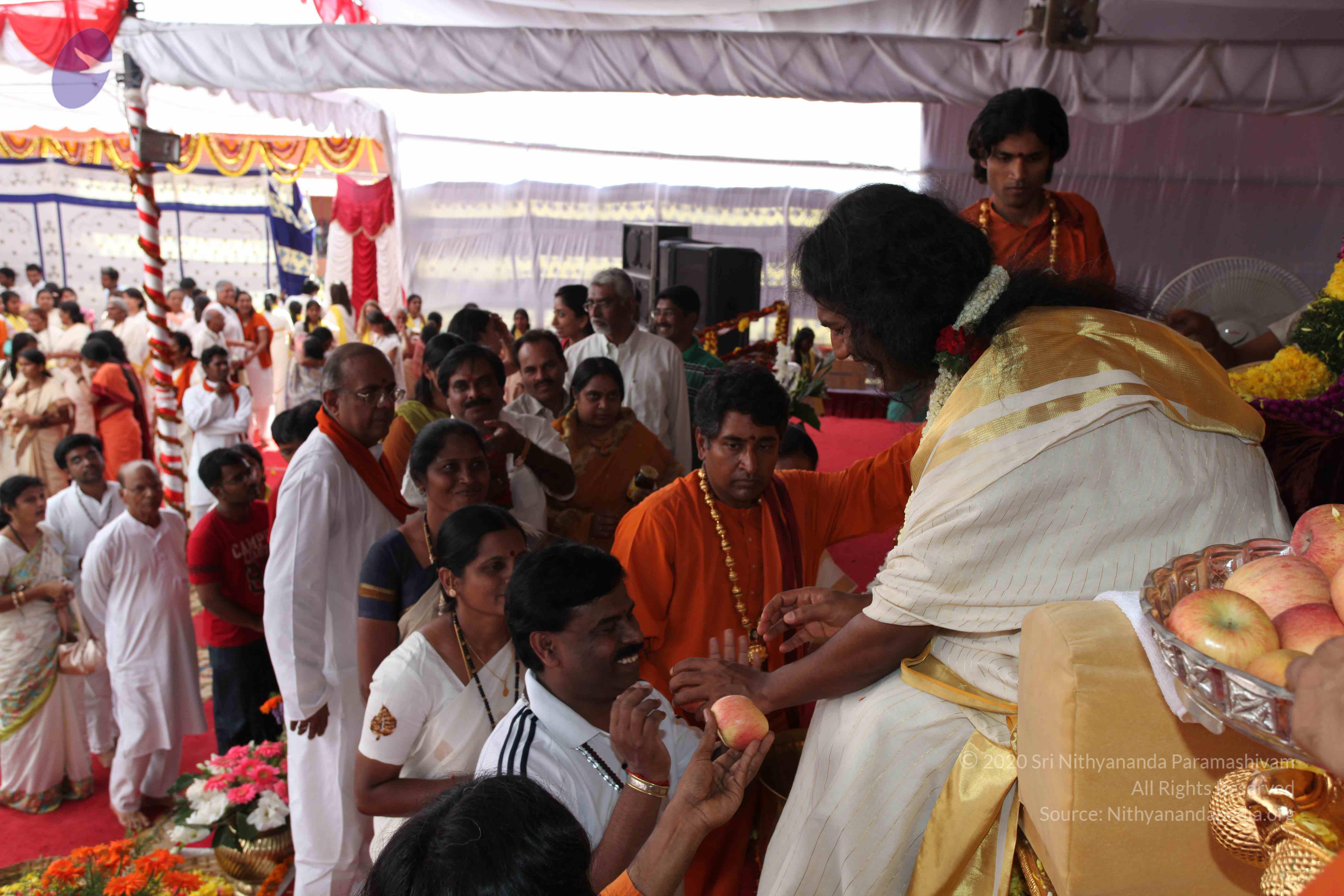 20100101_Photo_1055_IMG_5083_CMP_WM