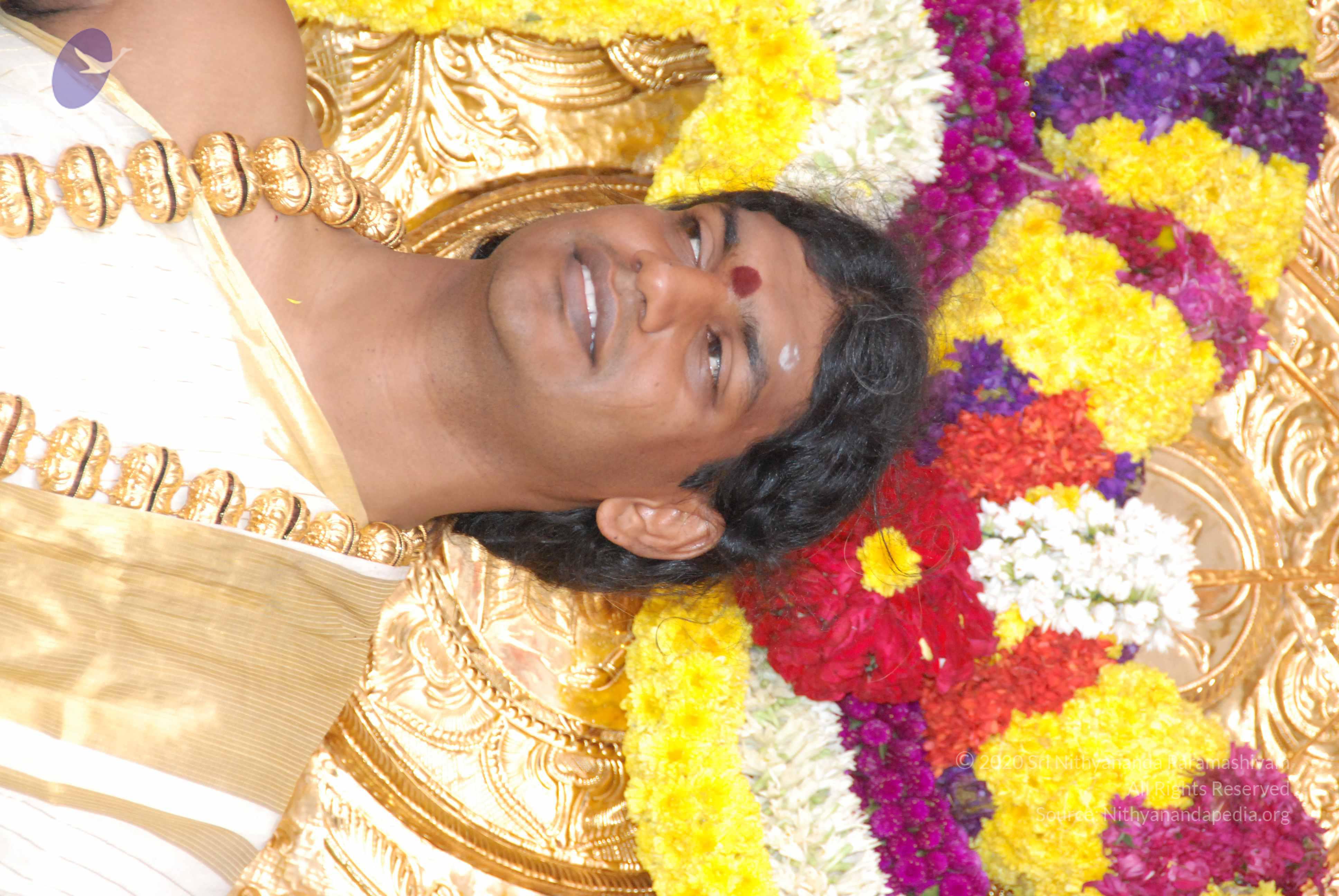 20100101_Photo_1059_DSC_2299_CMP_WM