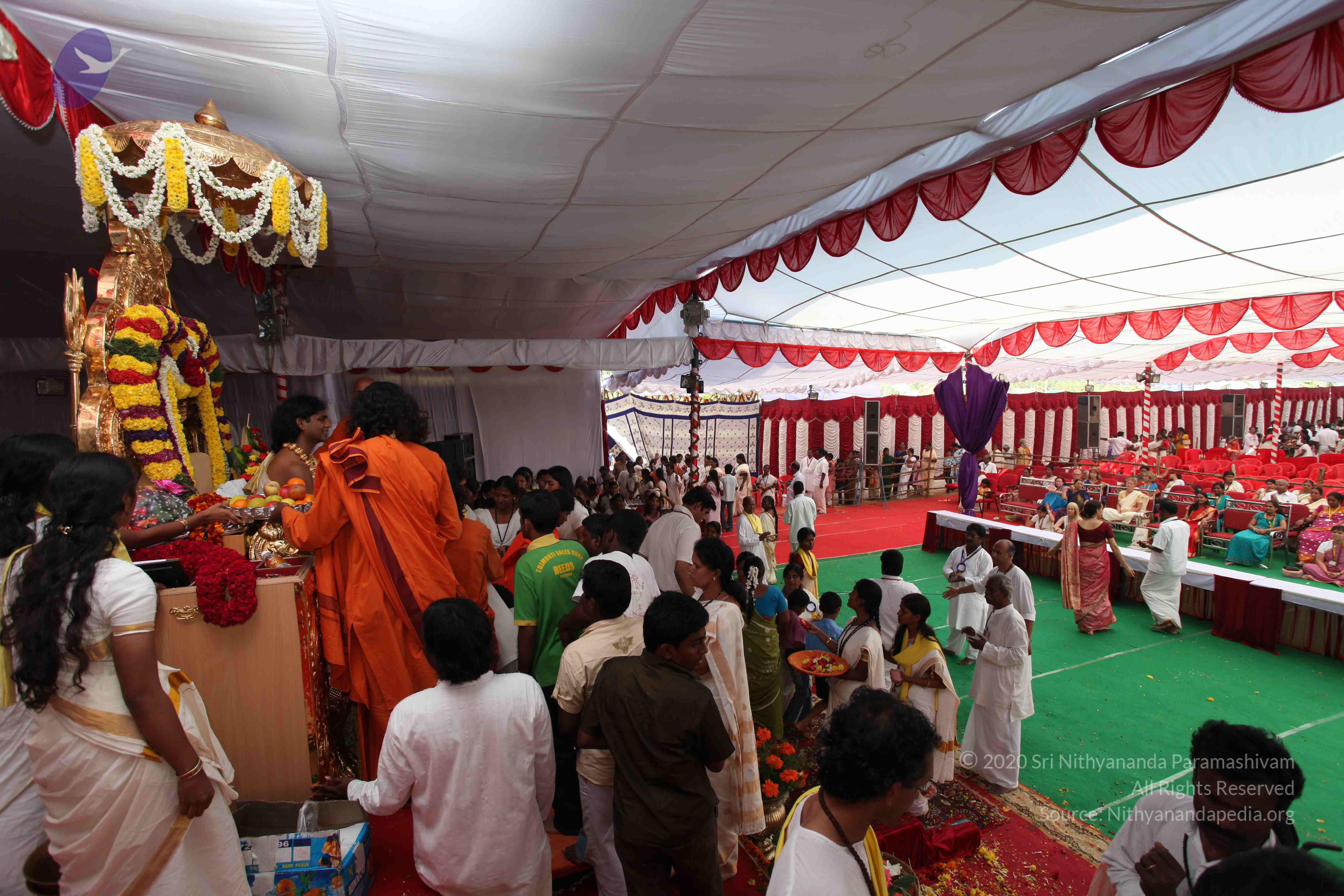 20100101_Photo_1061_IMG_5201_CMP_WM