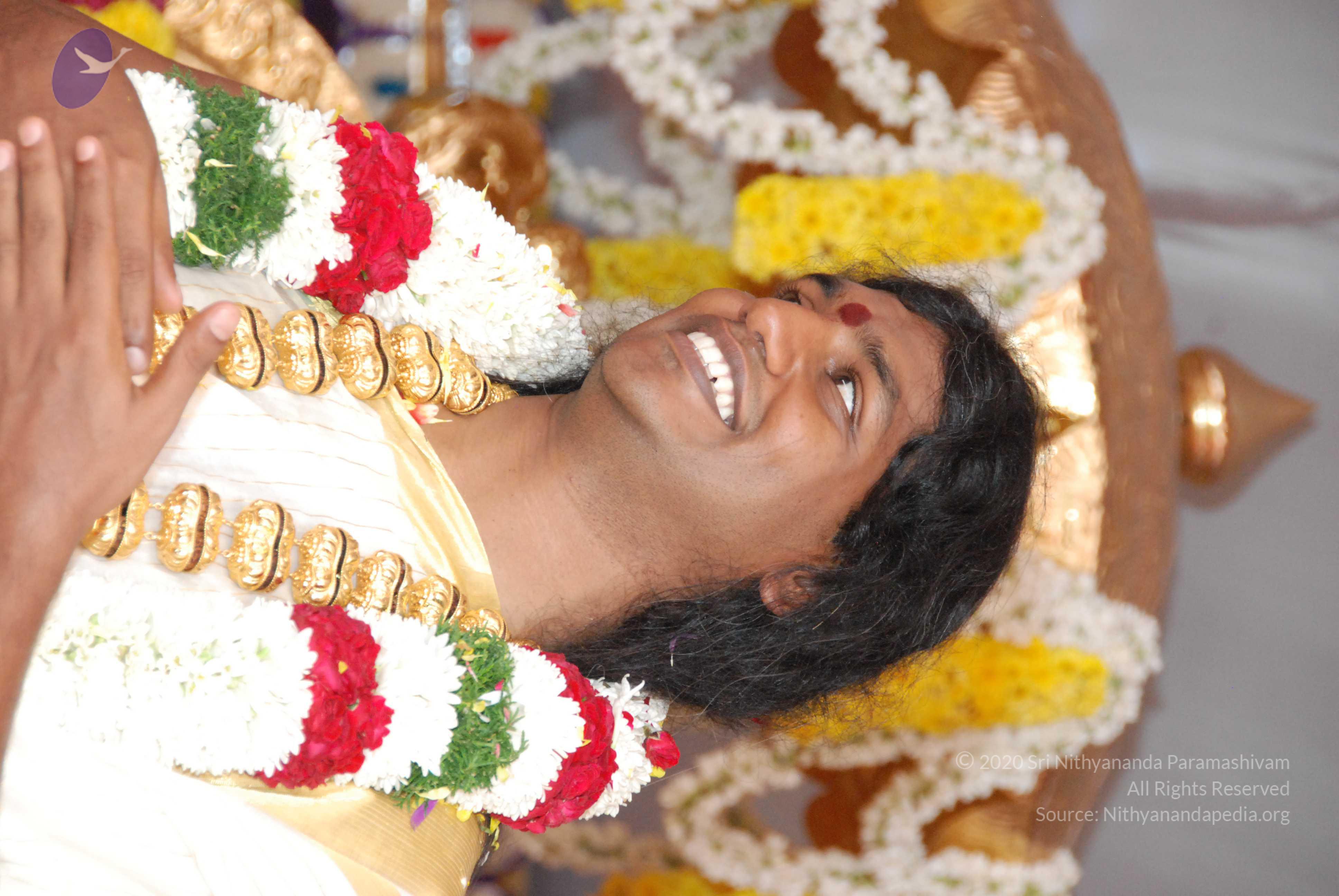 20100101_Photo_1063_DSC_2218_CMP_WM