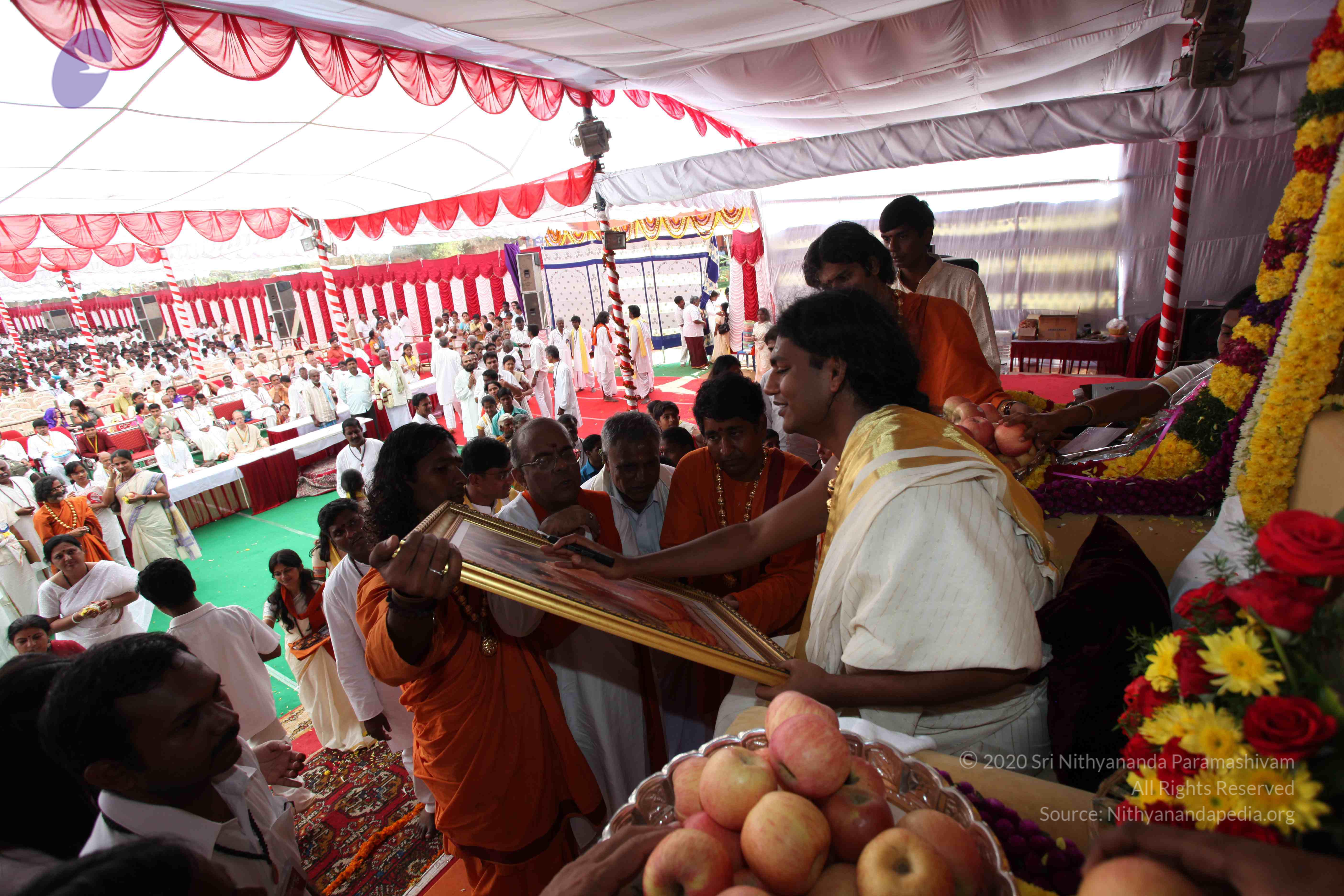 20100101_Photo_1082_IMG_5165_CMP_WM