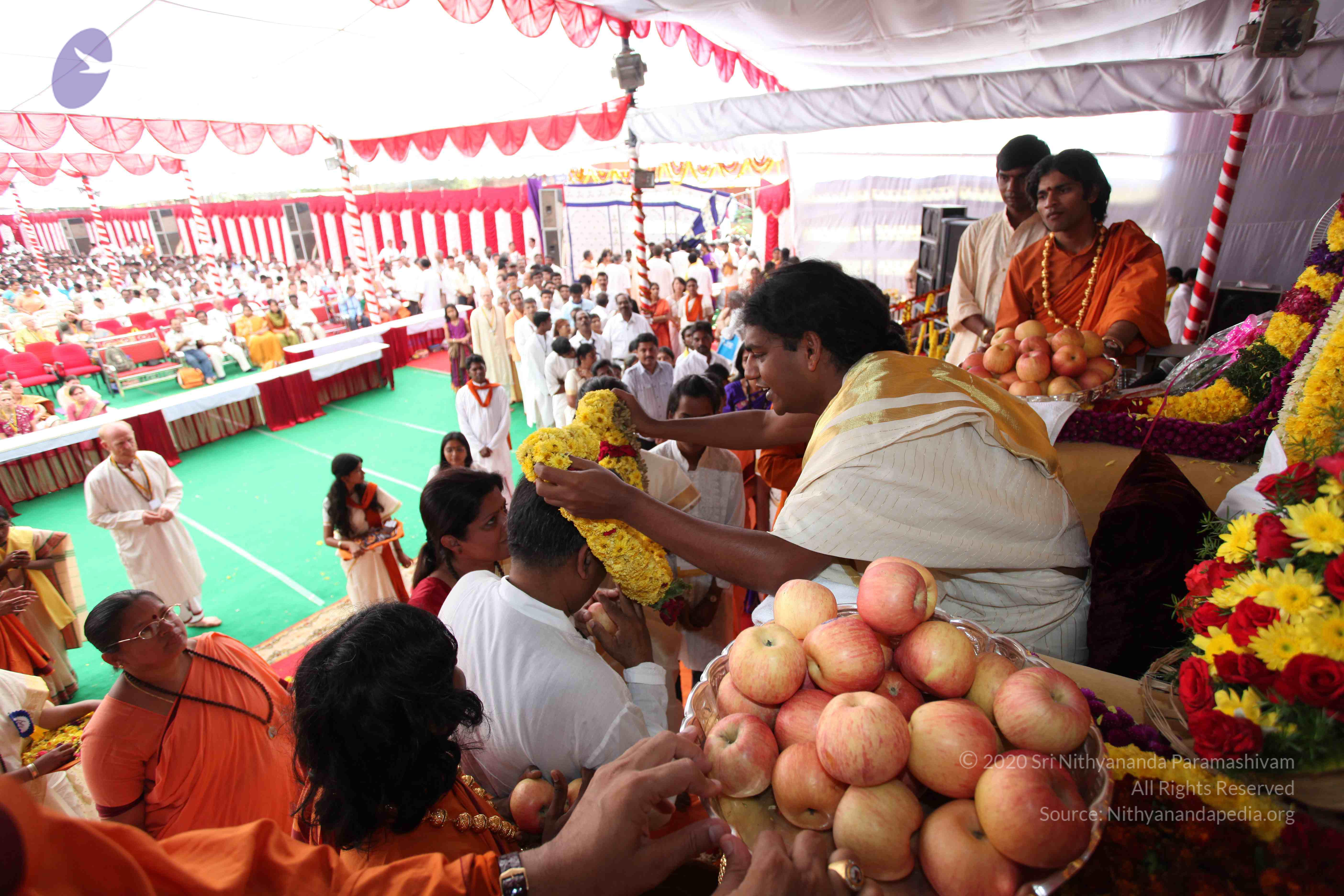 20100101_Photo_1087_IMG_5107_CMP_WM