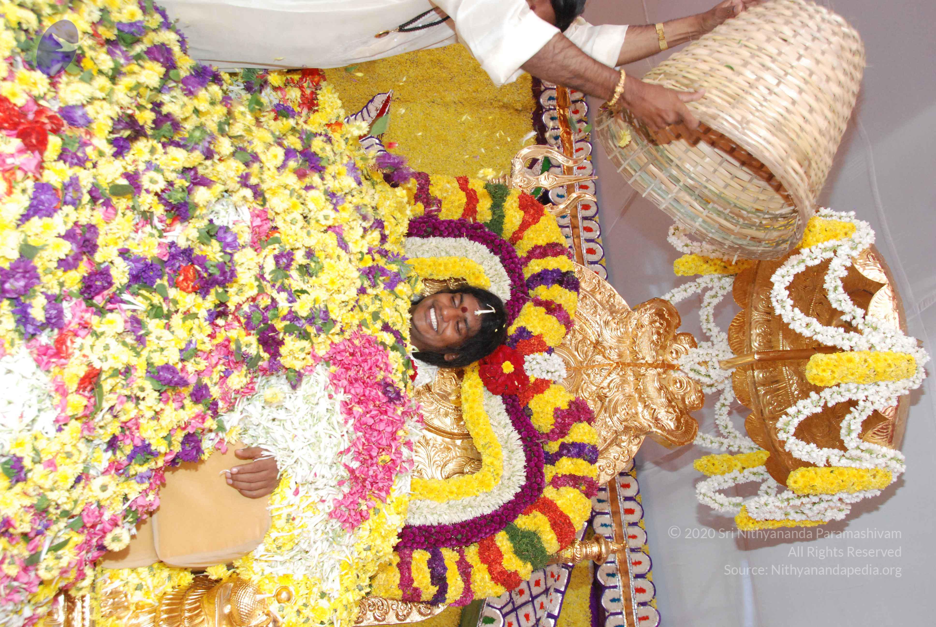 20100101_Photo_1093_DSC_2183_CMP_WM