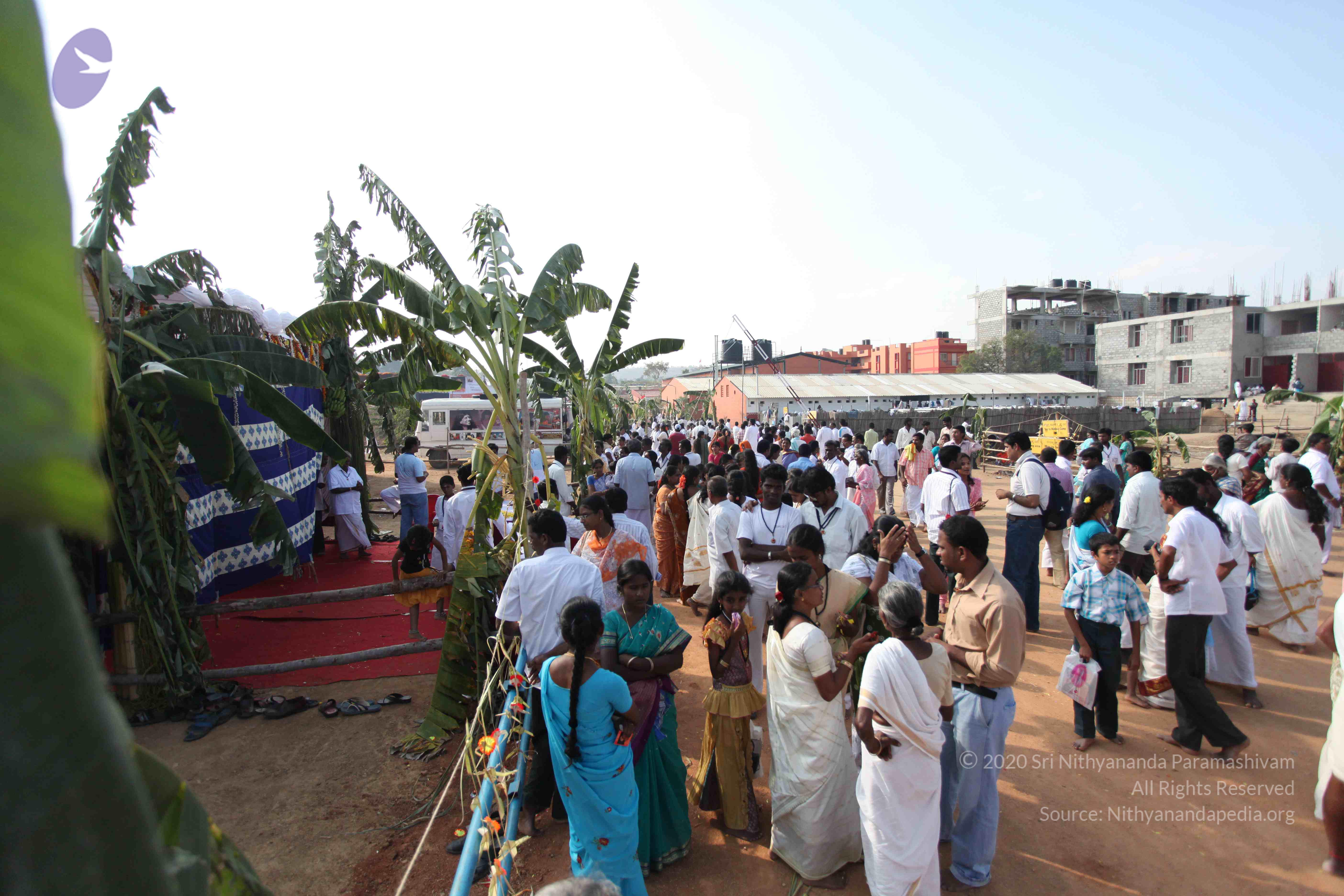 20100101_Photo_1094_IMG_5210_CMP_WM