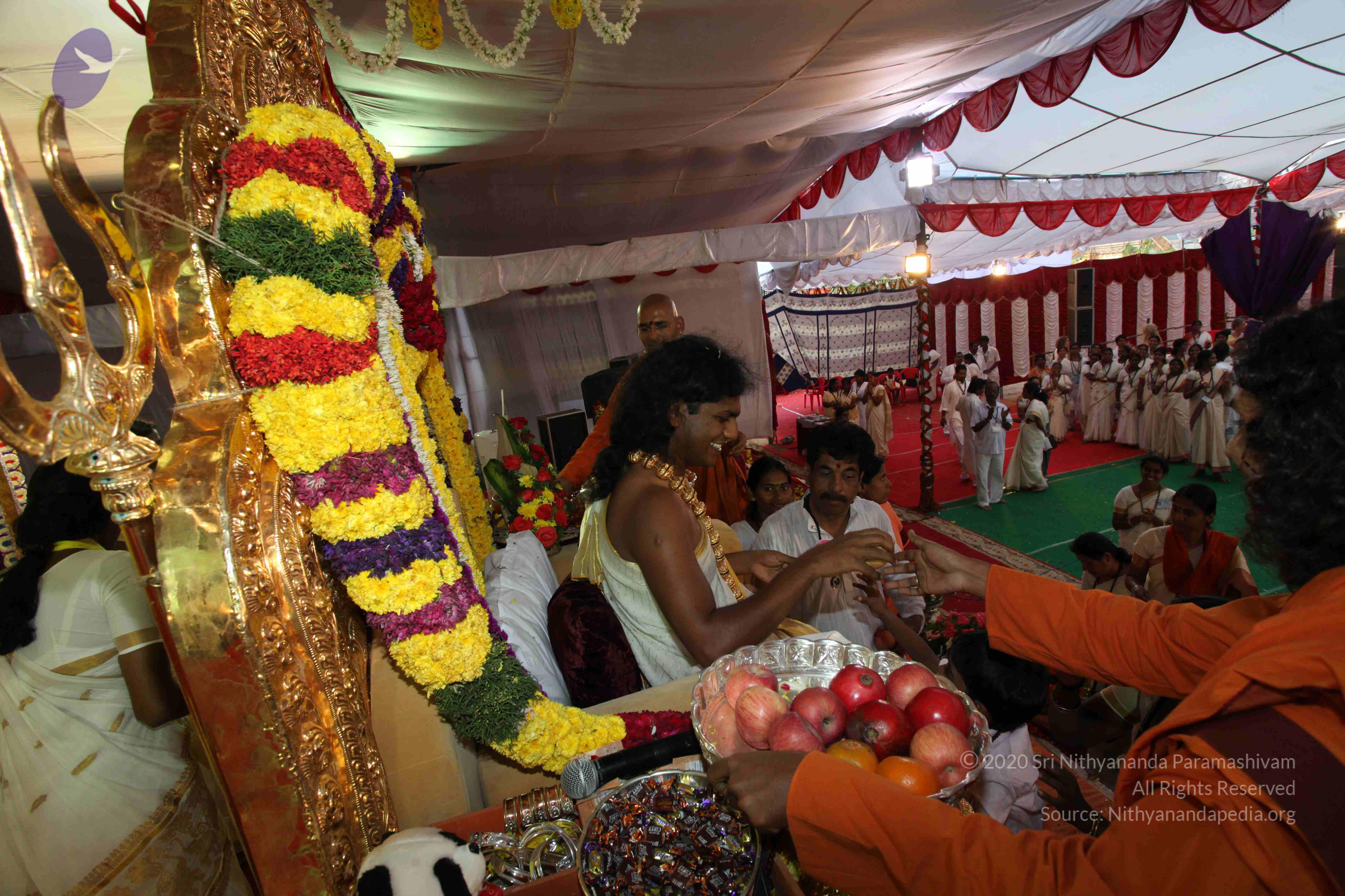 20100101_Photo_1096_IMG_5245_CMP_WM