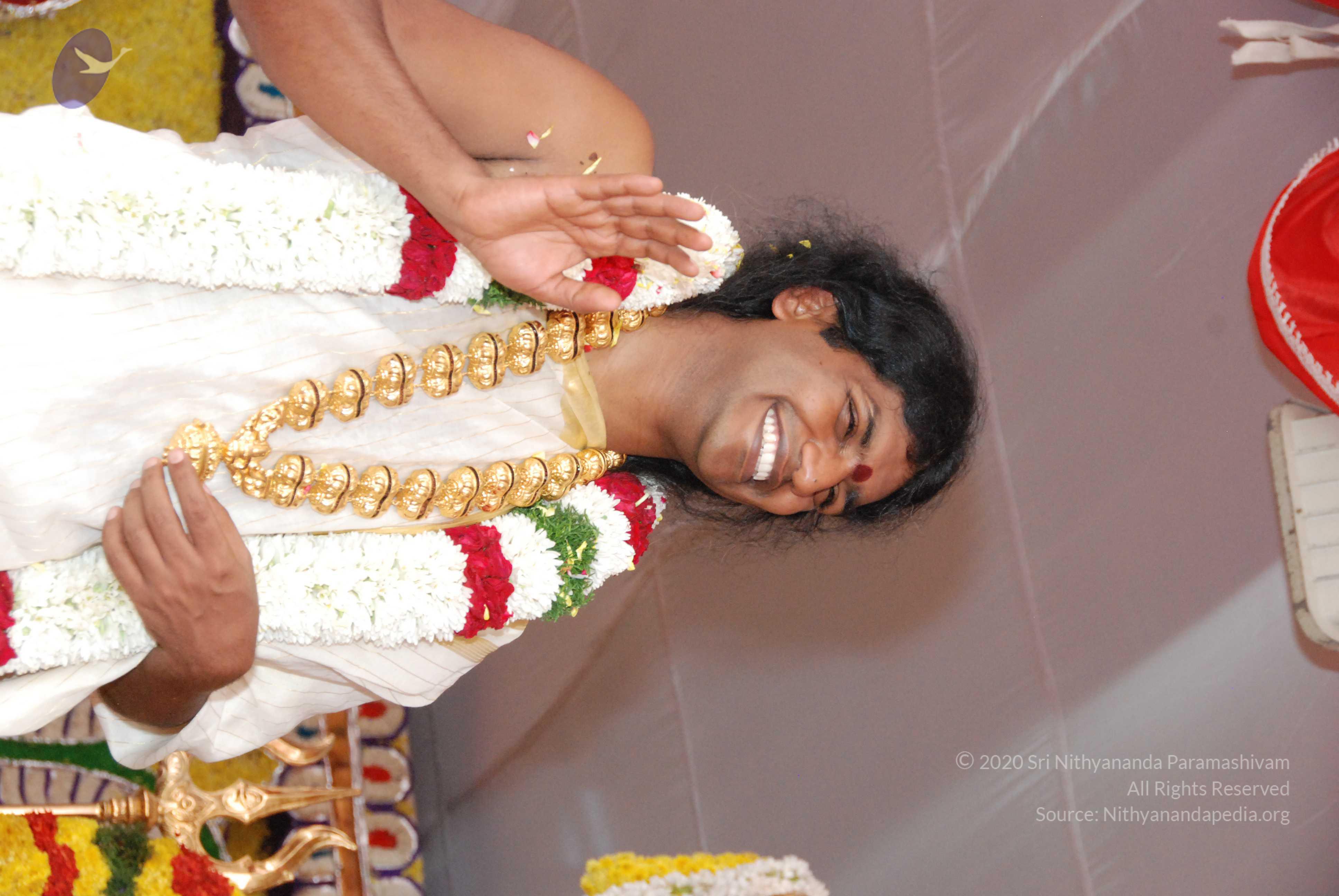 20100101_Photo_1100_DSC_2222_CMP_WM