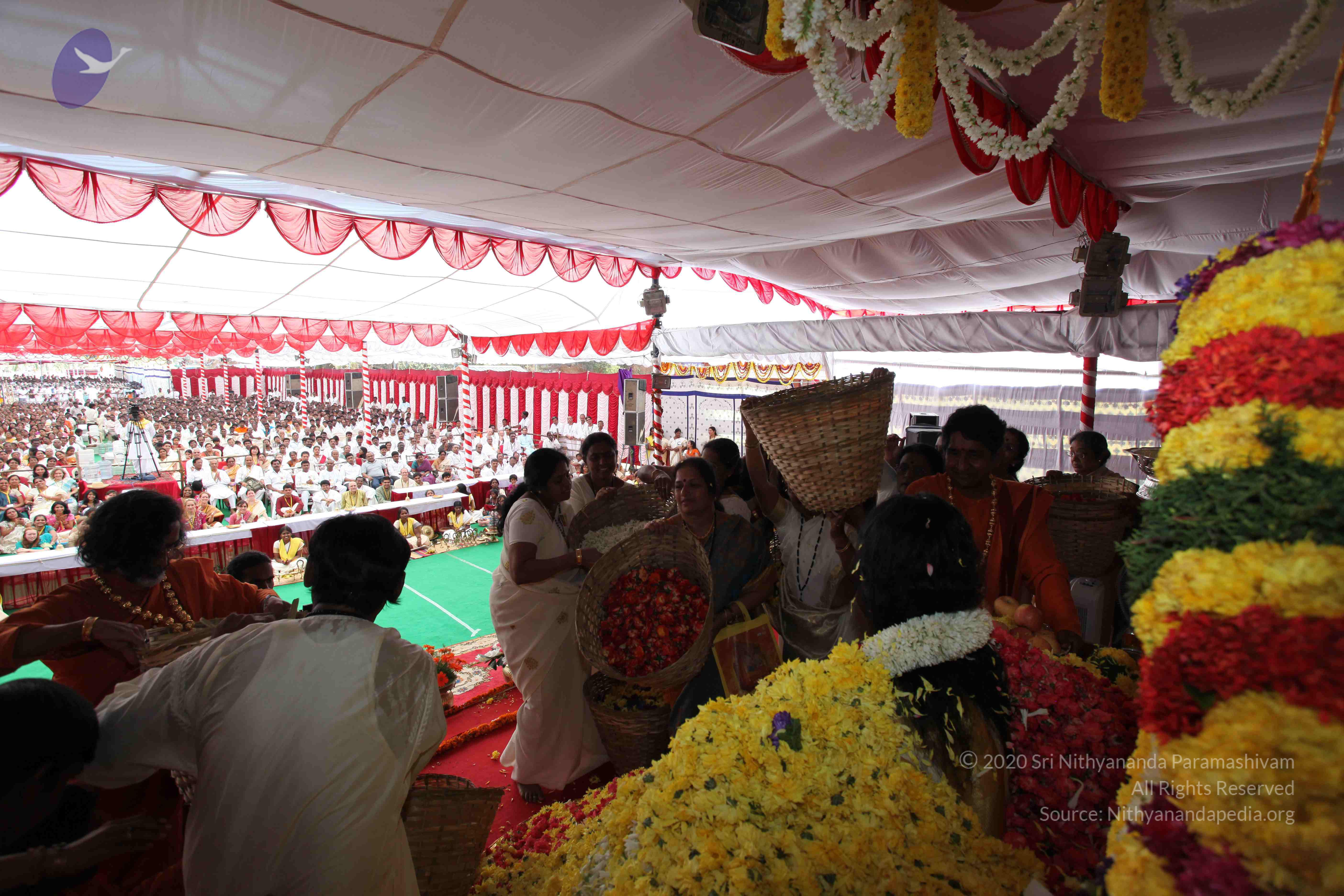 20100101_Photo_1117_IMG_5008_CMP_WM