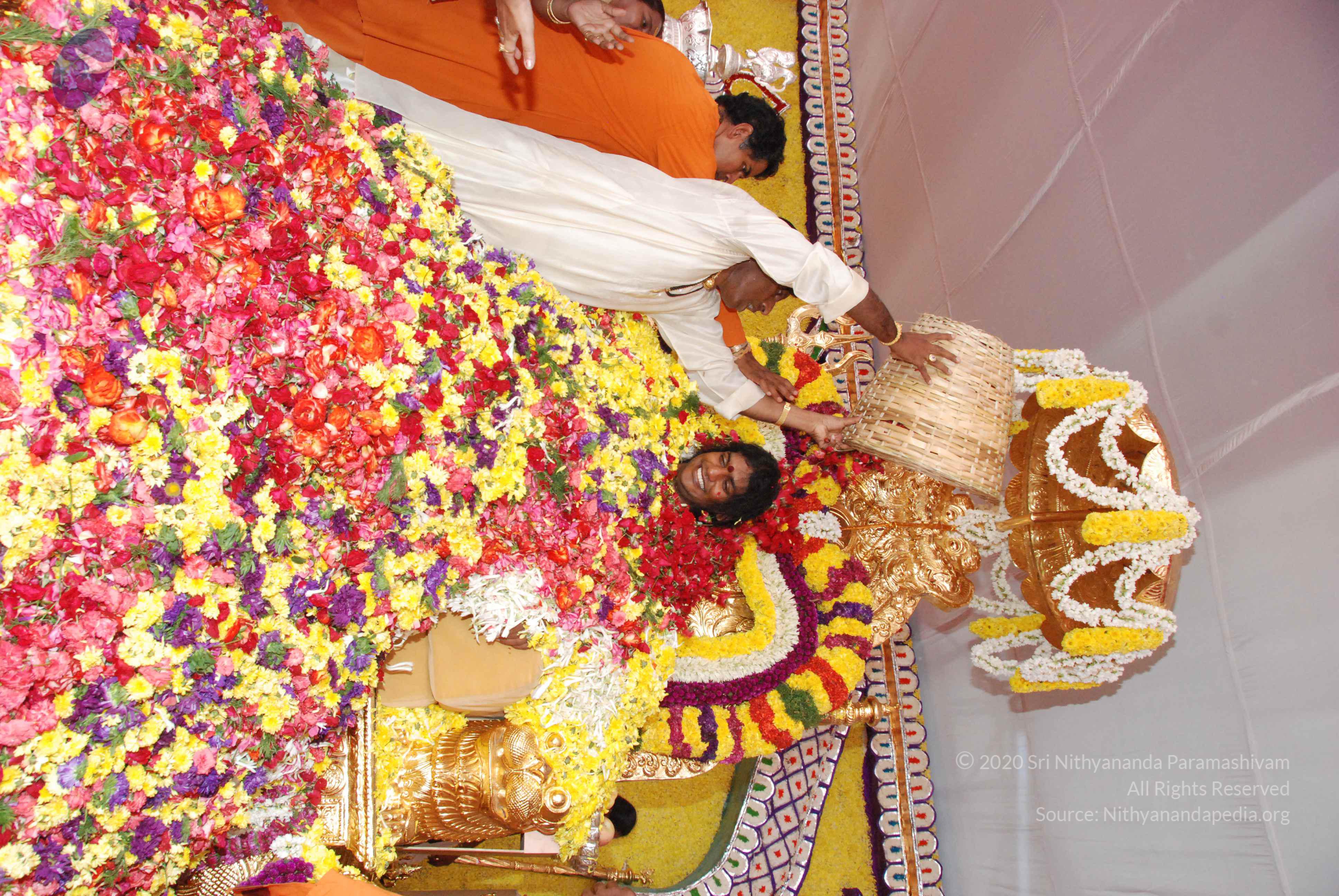 20100101_Photo_1123_DSC_2198_CMP_WM