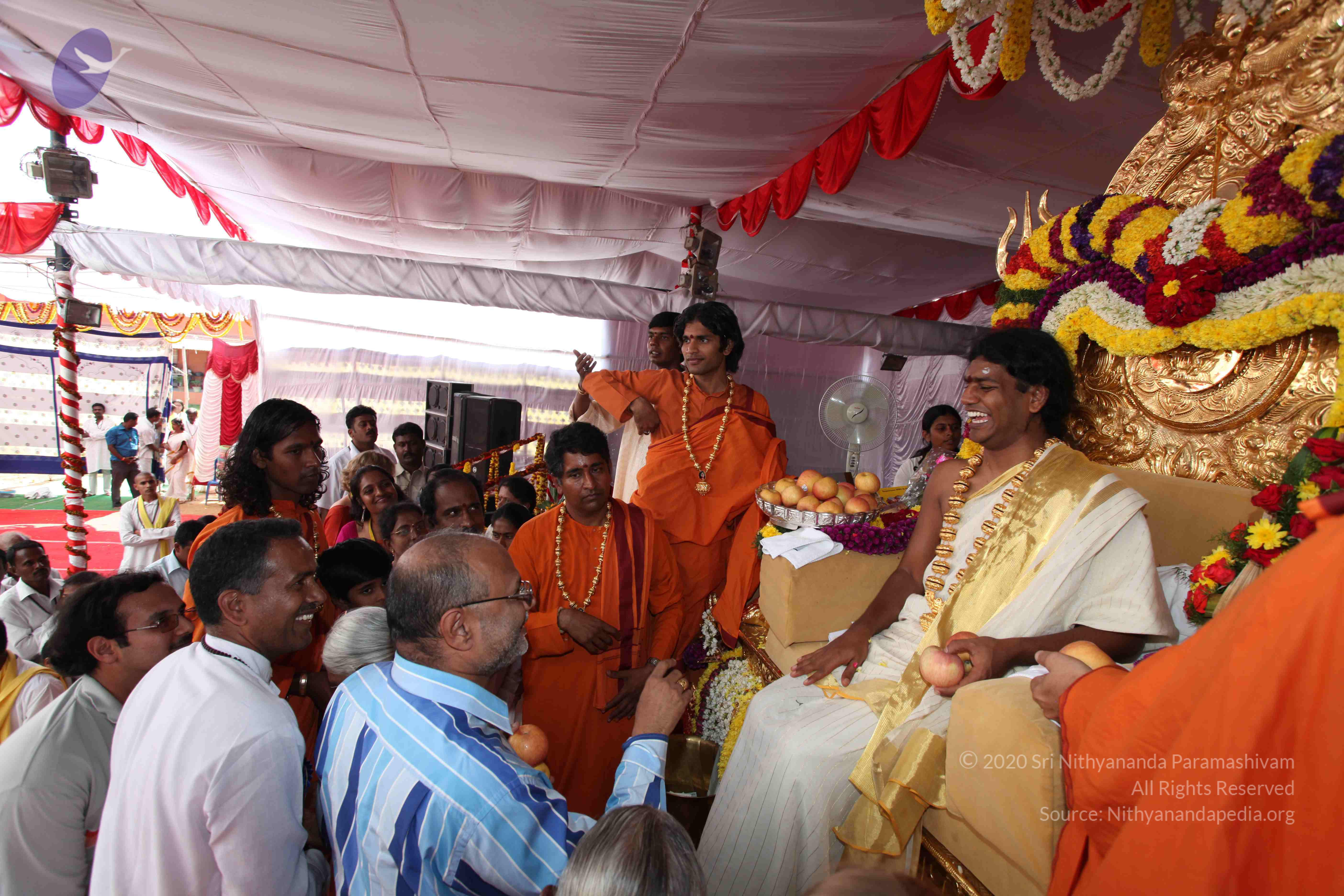 20100101_Photo_1124_IMG_5155_CMP_WM