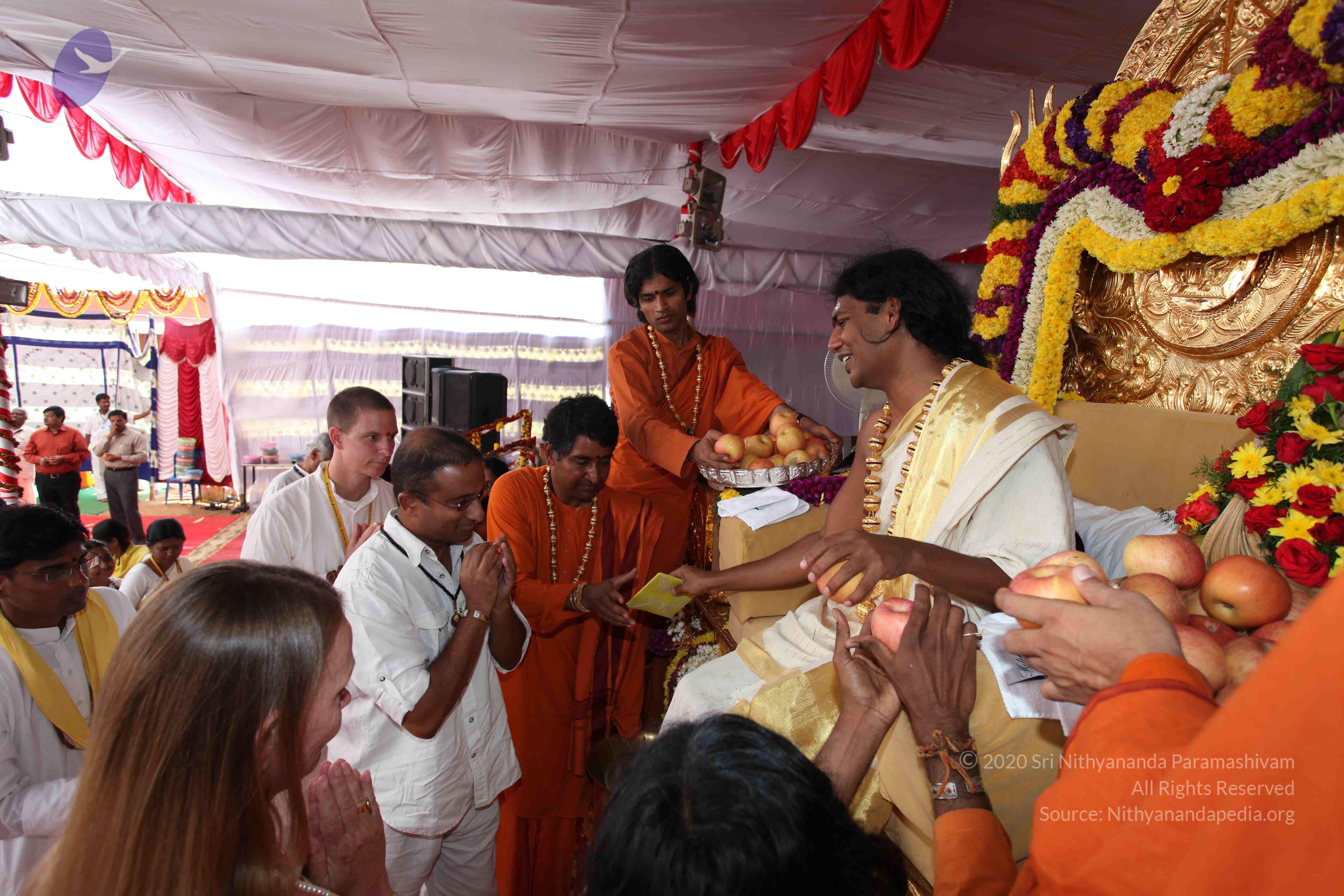 20100101_Photo_1131_IMG_5137_CMP_WM