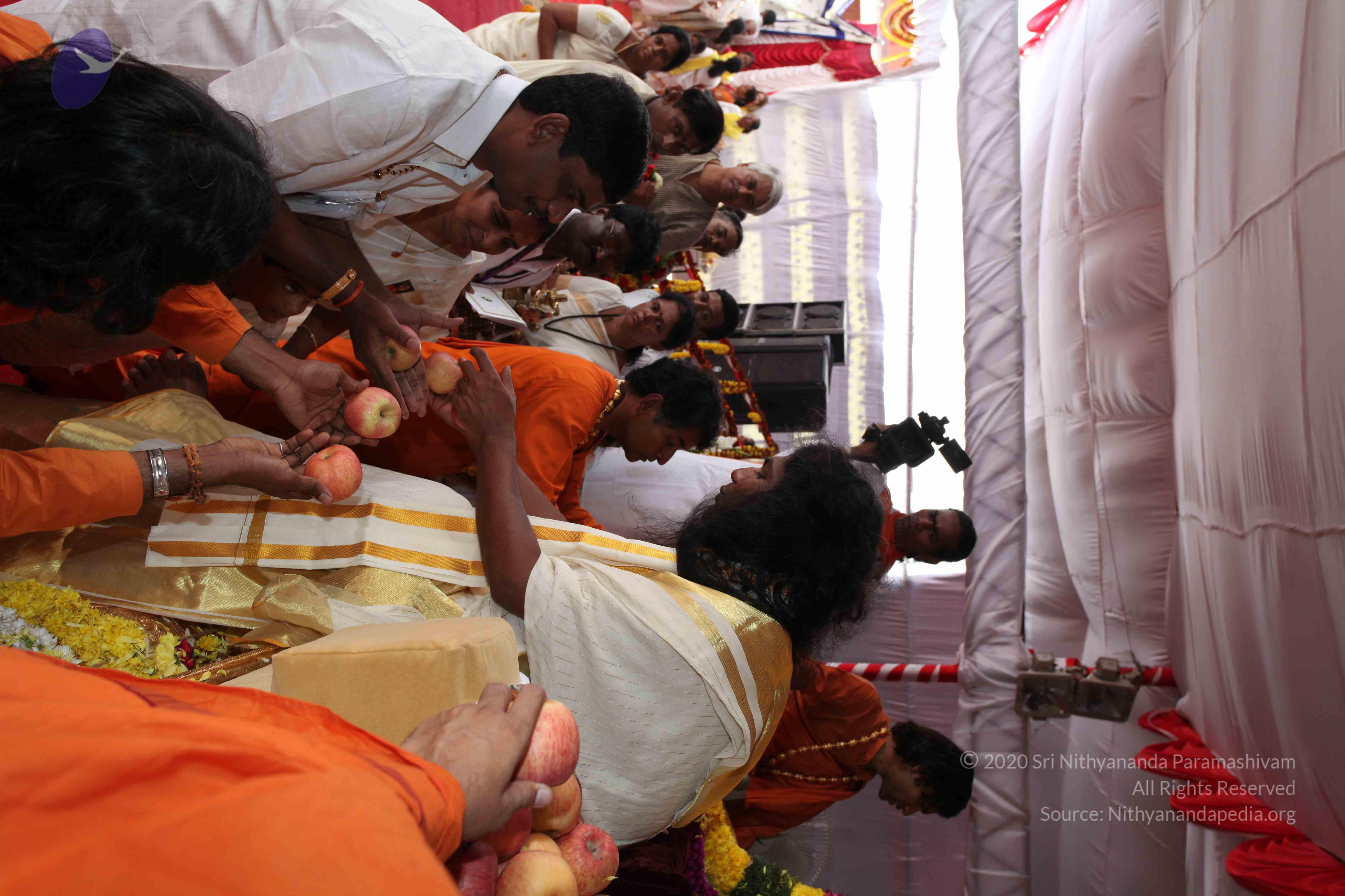 20100101_Photo_1141_IMG_5067_CMP_WM