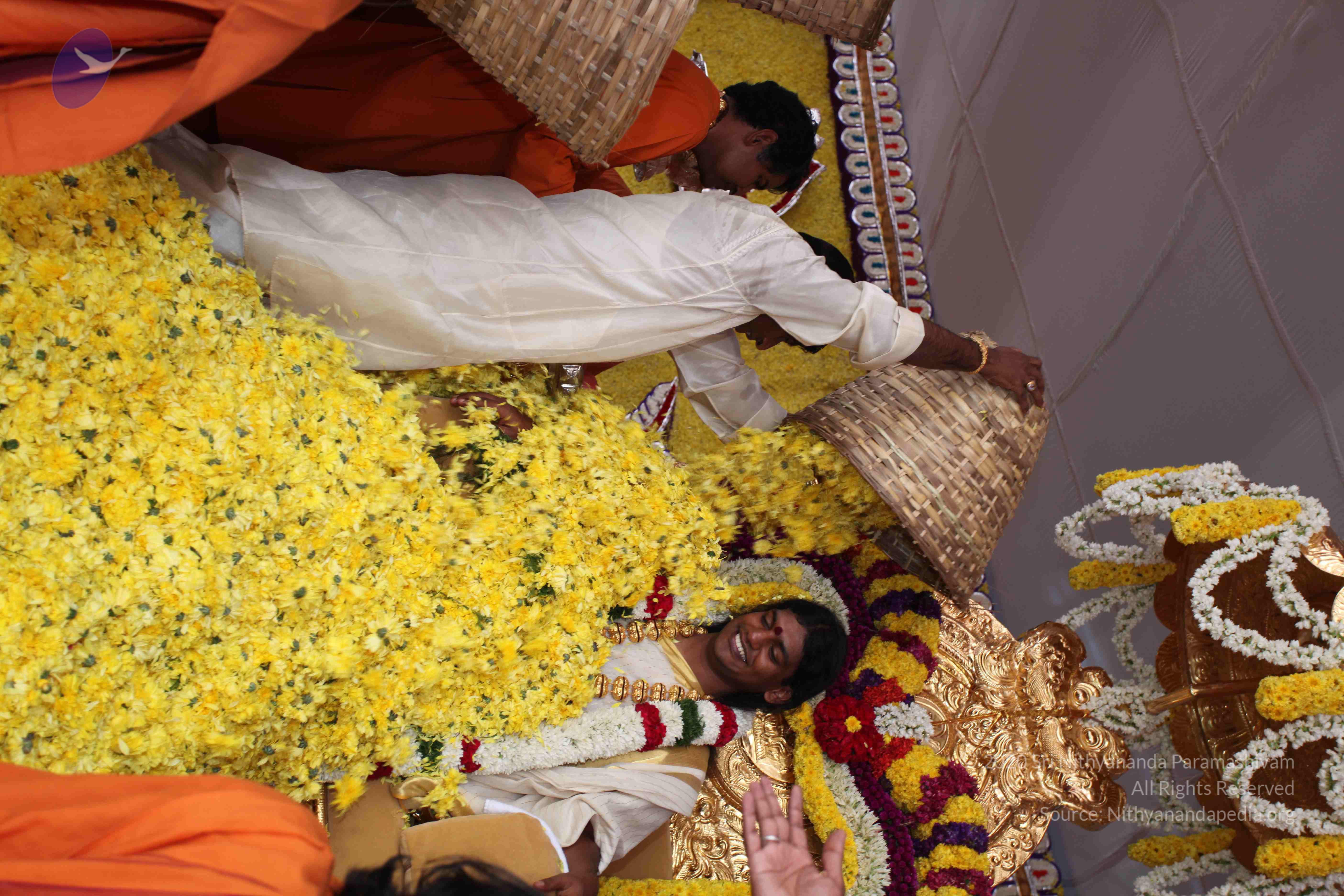 20100101_Photo_1143_IMG_4997_CMP_WM