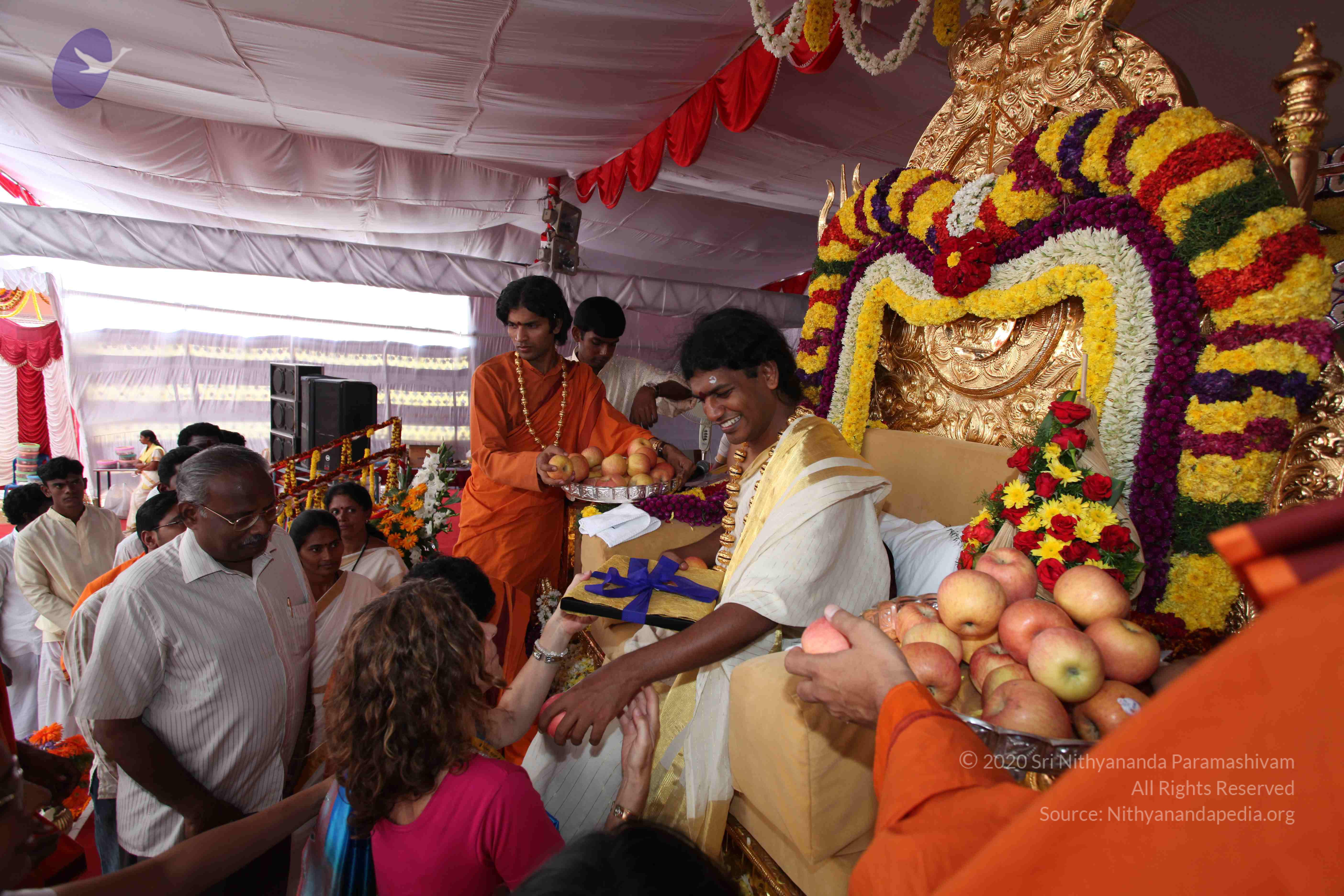 20100101_Photo_1147_IMG_5144_CMP_WM