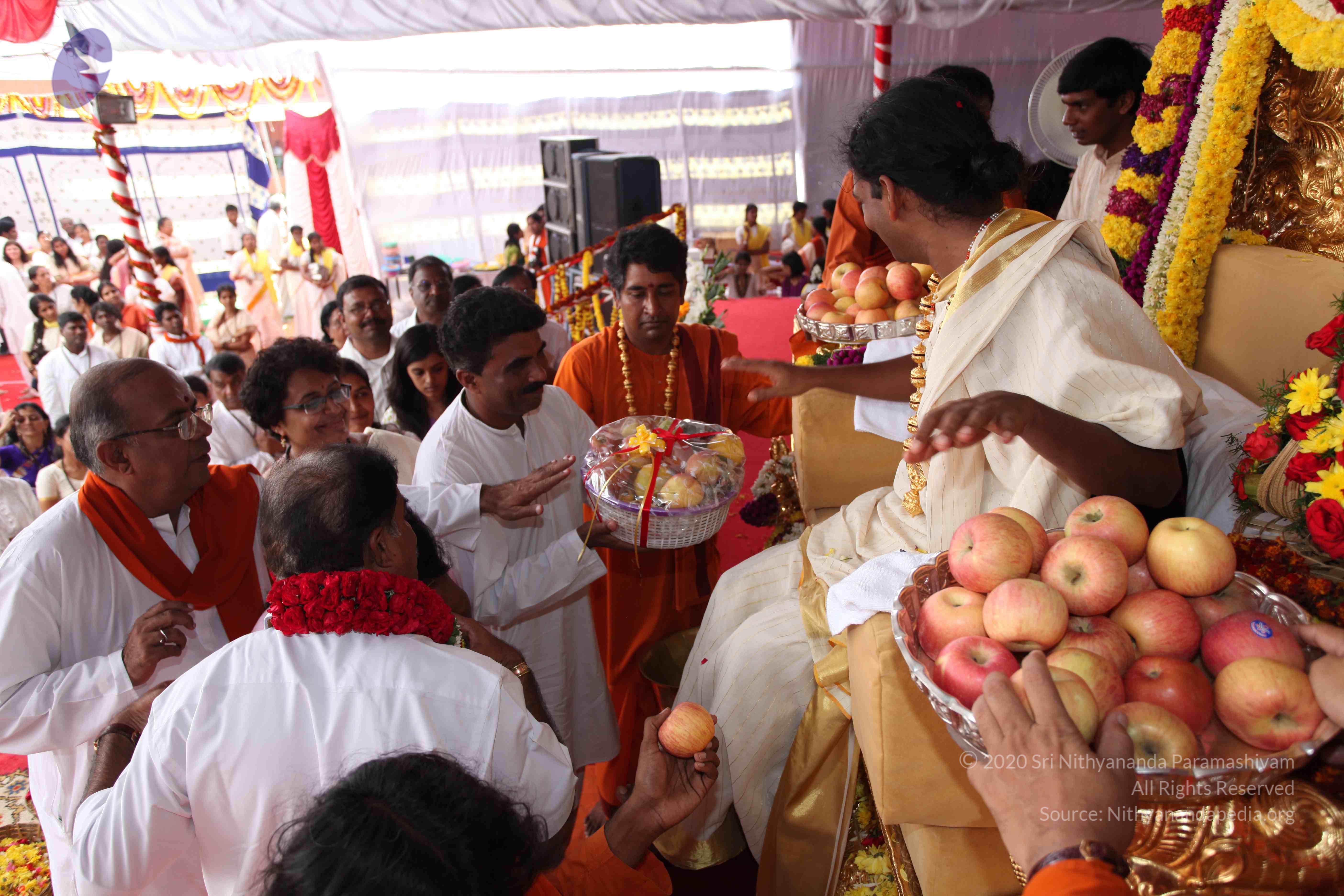 20100101_Photo_1149_IMG_5098_CMP_WM