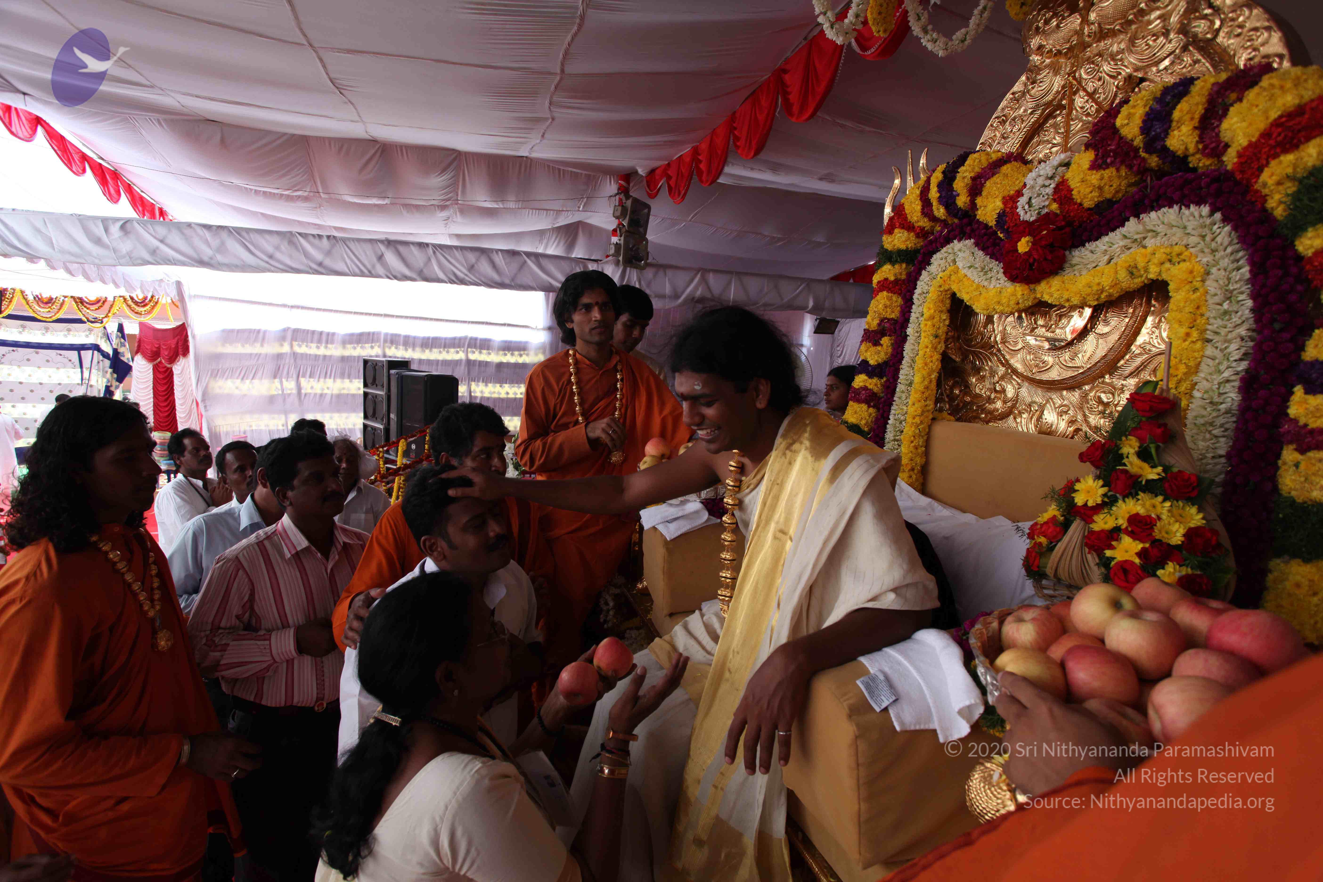 20100101_Photo_1156_IMG_5158_CMP_WM