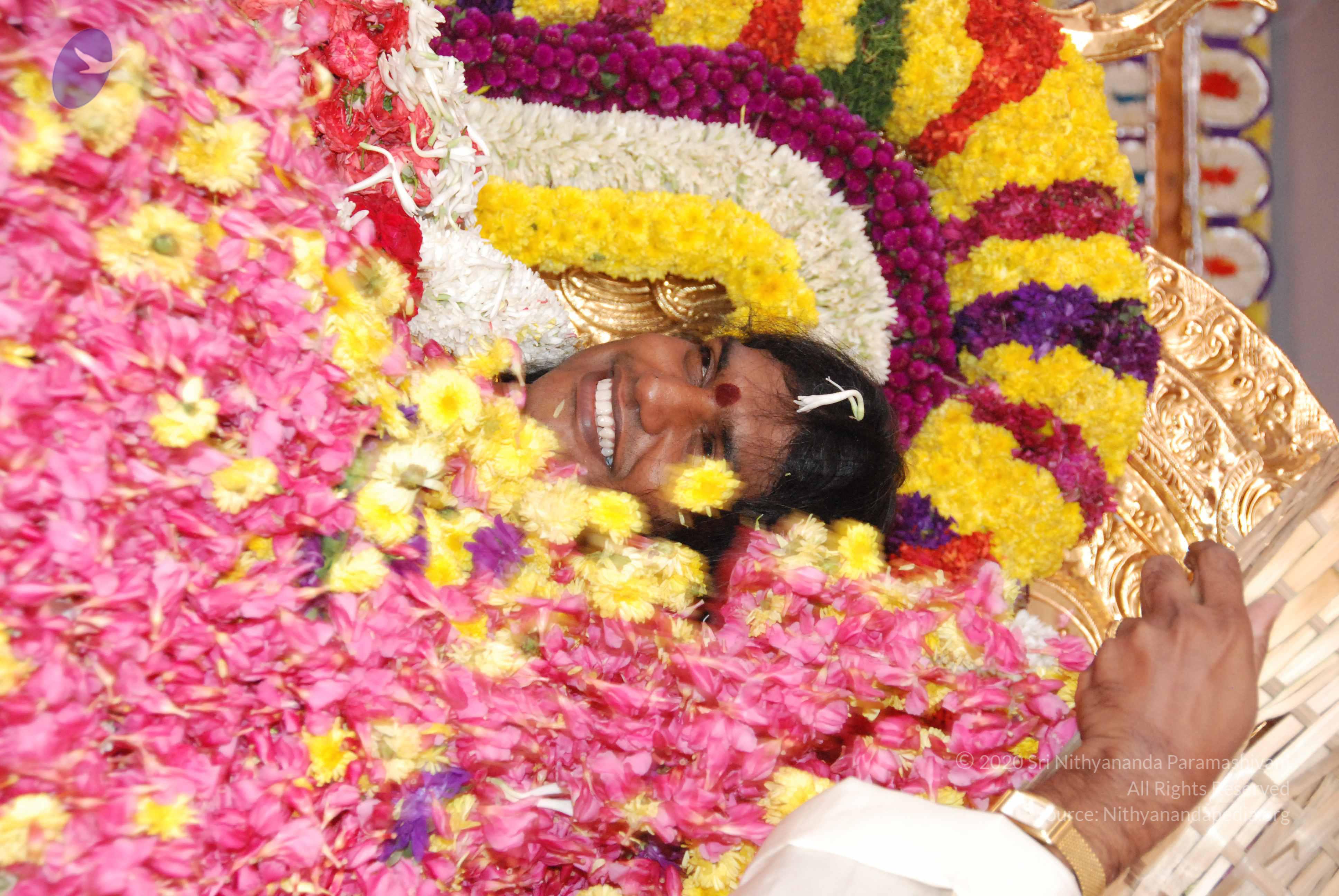 20100101_Photo_1167_DSC_2173_CMP_WM