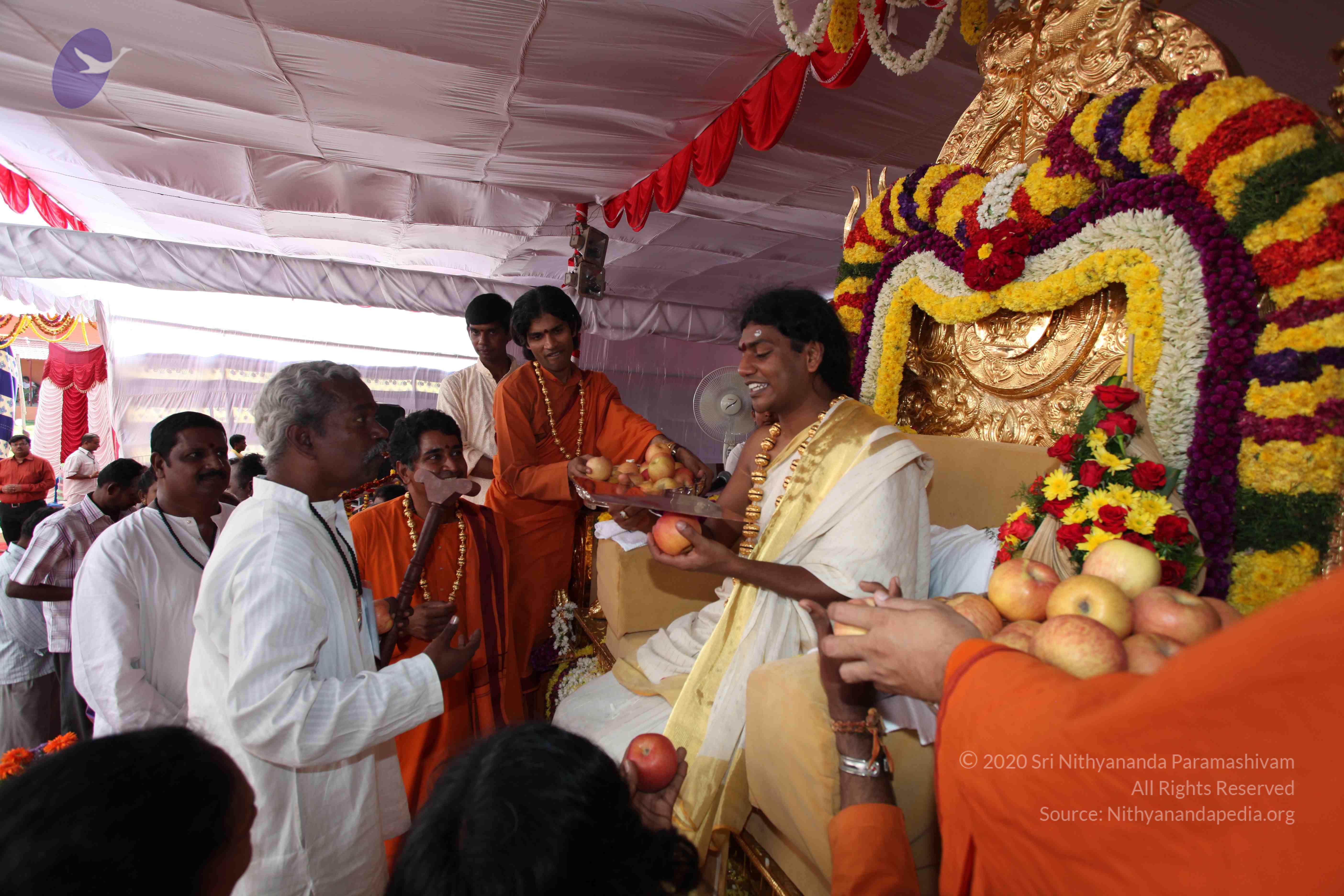 20100101_Photo_1170_IMG_5141_CMP_WM