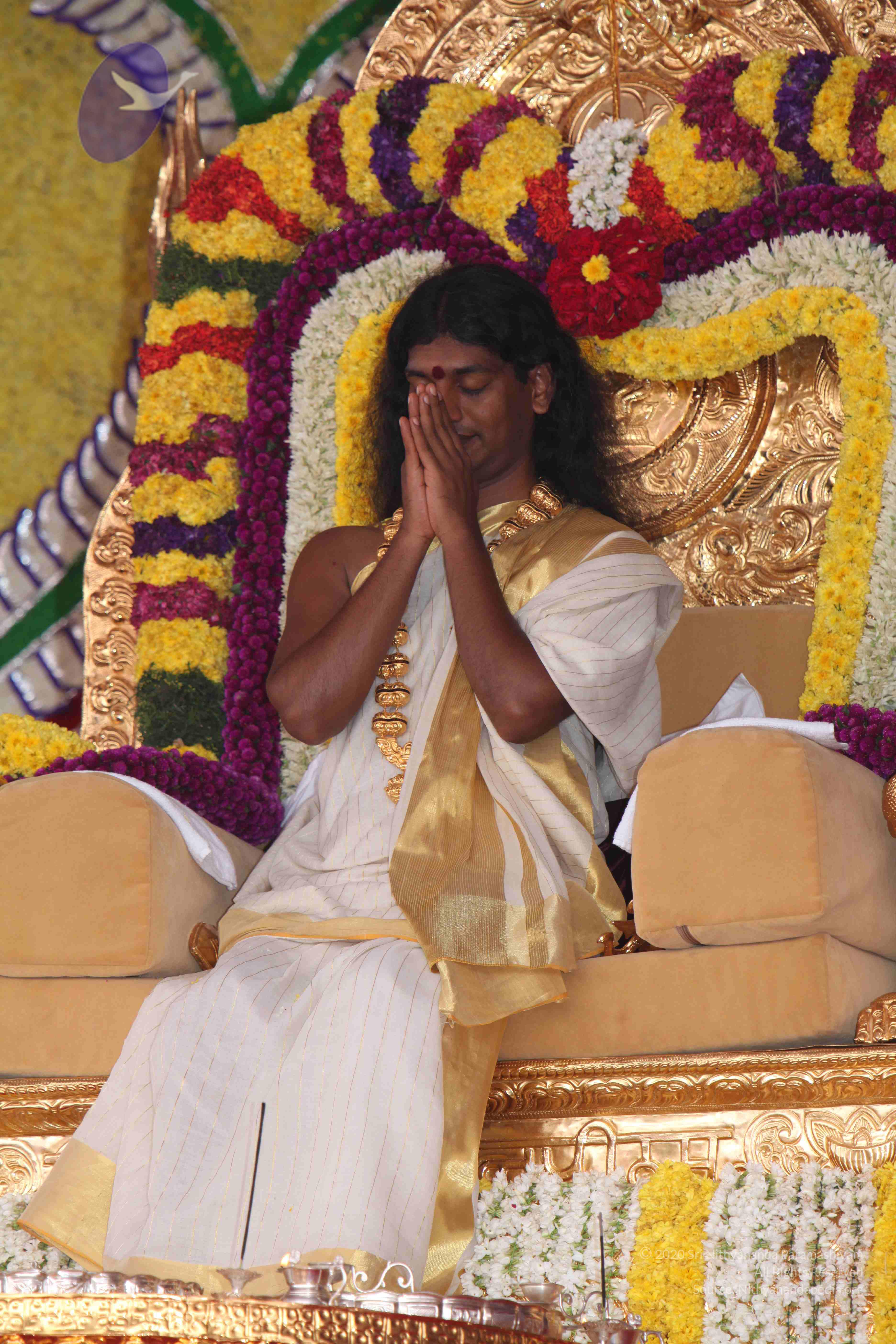 20100101_Photo_1176_IMG_4852_CMP_WM